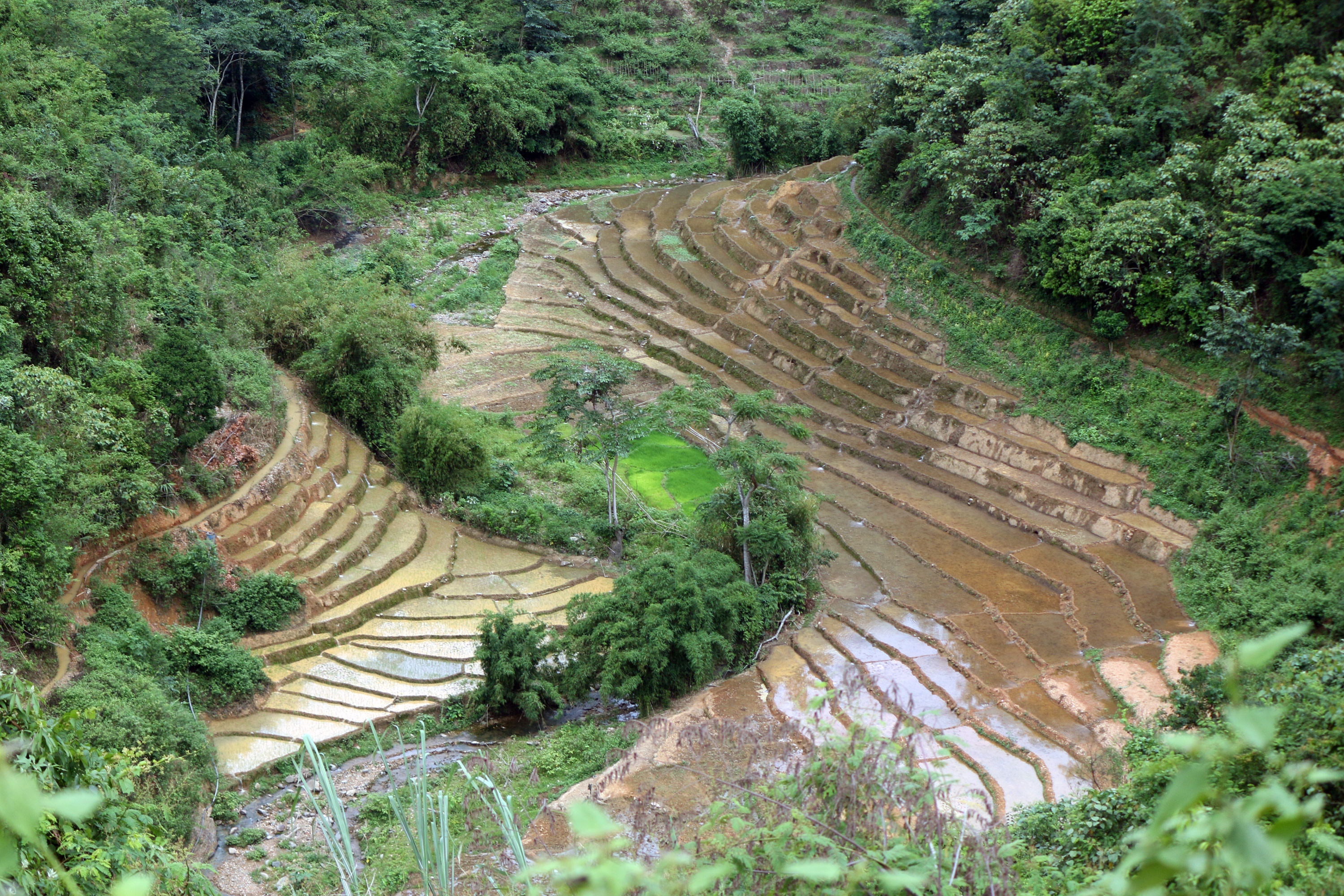 Thời điểm tháng Sáu, các cung ruộng bậc thang ở vùng cao xứ Nghệ bắt đầu đổ nước để phục vụ cho vụ mùa mới. Đây cũng là lúc người dân xuống đồng chạy đua với thời tiết để cày cấy. Dưới trời nắng nóng, người tát nước, người cày, người cấy quanh những thửa ruộng uốn lượn trên sườn đồi để chạy đua với thời tiết.