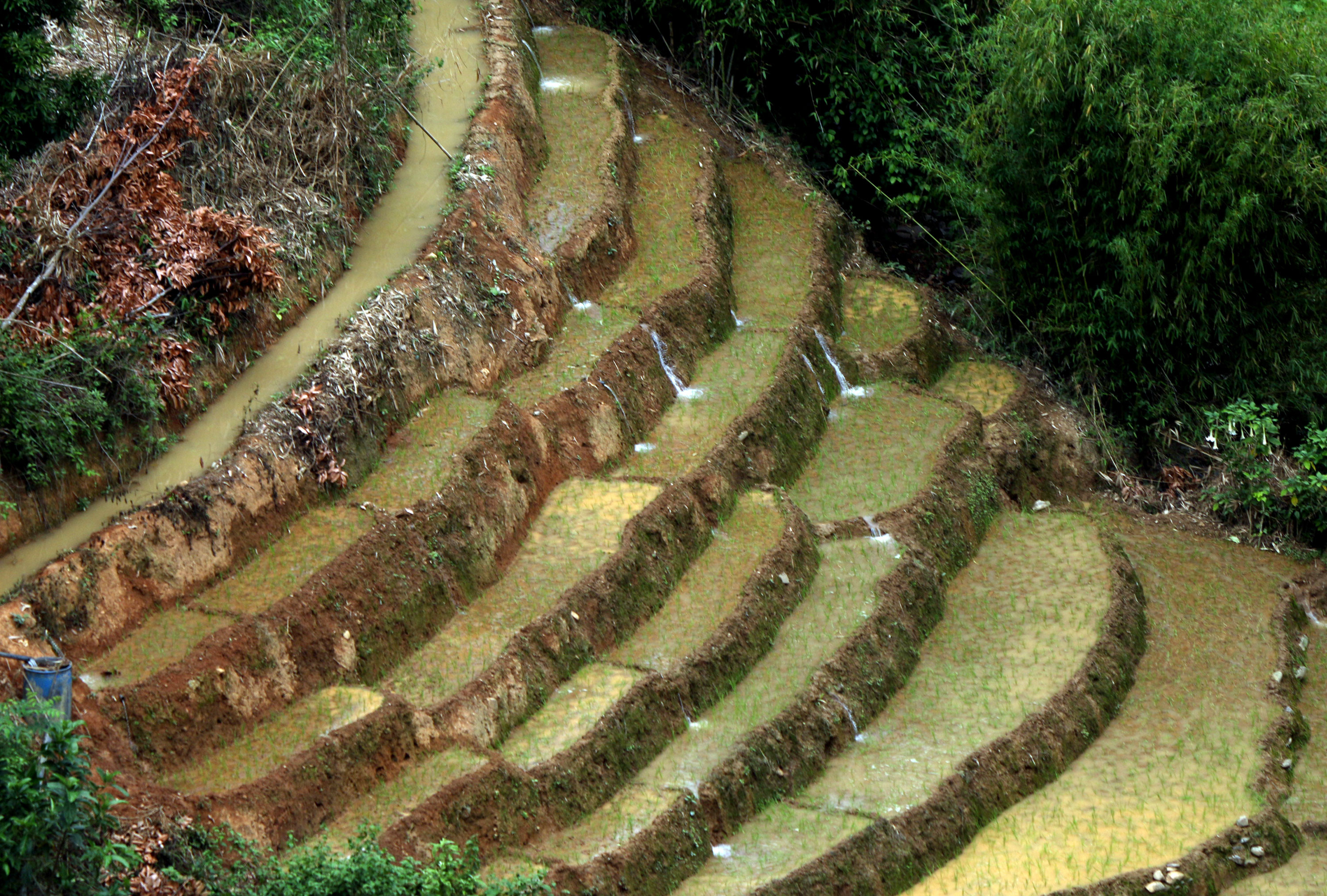 Ở những khu đồi dốc, ruộng bậc thang lấy nước theo cơ chế nước từ ruộng cao chảy xuống ruộng thấp hơn. Do đó, ở các thửa ruộng này nước luôn đầy ắp để người dân yên tâm sản xuất. Ảnh: Đào Thọ
