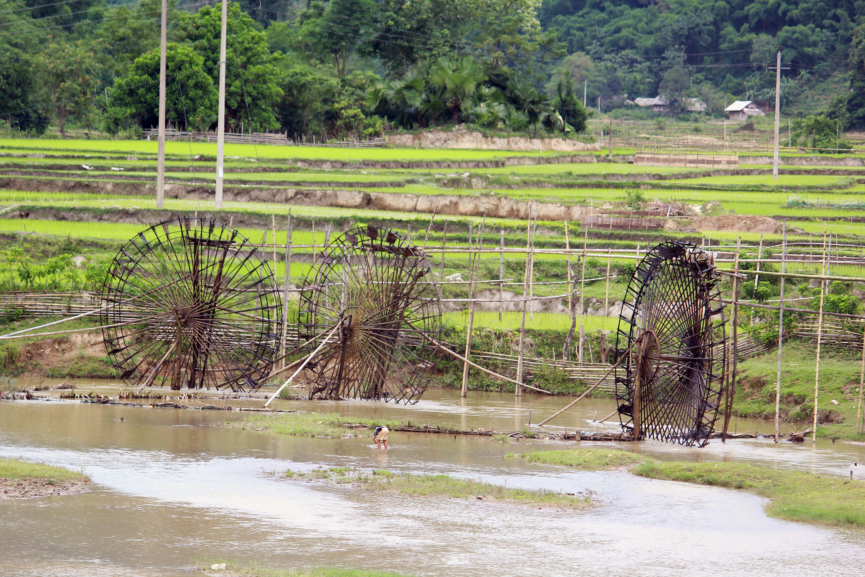 Trên một số cánh đồng khác, những guồng nước cũng đang phát huy hết tác dụng đưa nước vào ruộng để phục vụ sản xuất. Ảnh: Đào Thọ