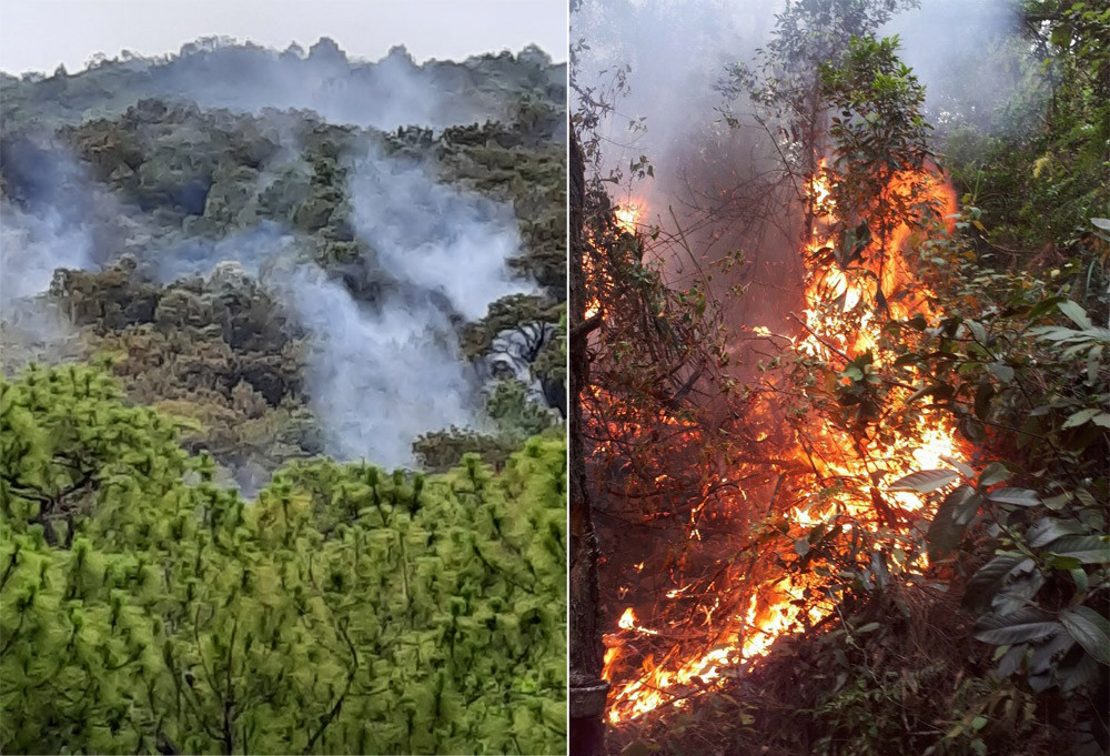 Ngọn lửa bùng phát làm cháy hơn 10 ha diện tích rừng thông. Ảnh: Tân Bảo