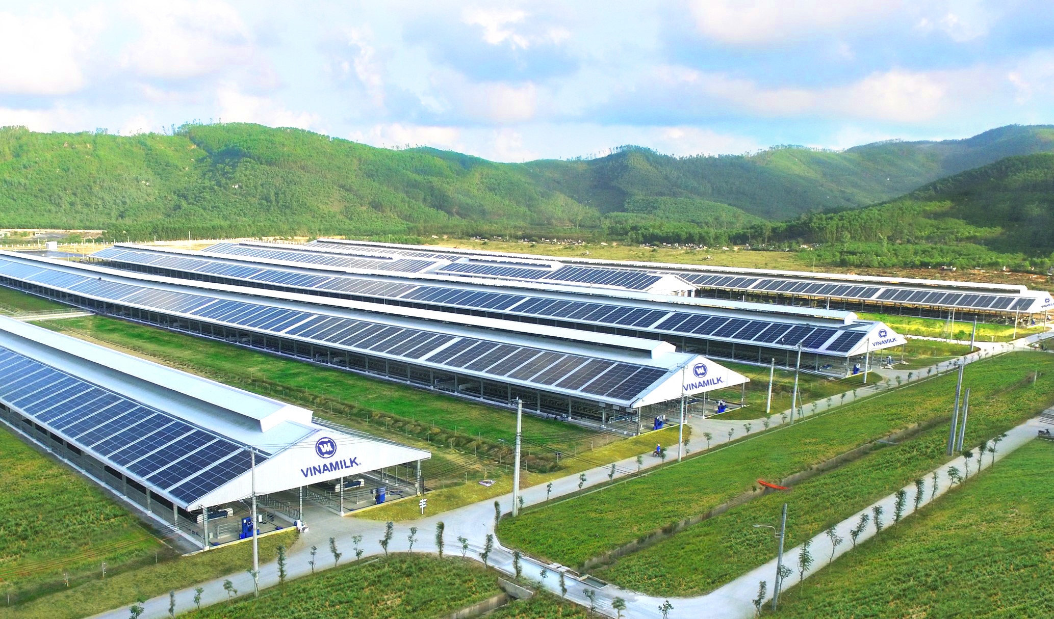 : Hệ thống năng lượng mặt trời là dấu chân xanh nổi bật trong việc sử dụng năng lượng tái tạo vào hoạt động sản xuất kinh doanh của Vinamilk