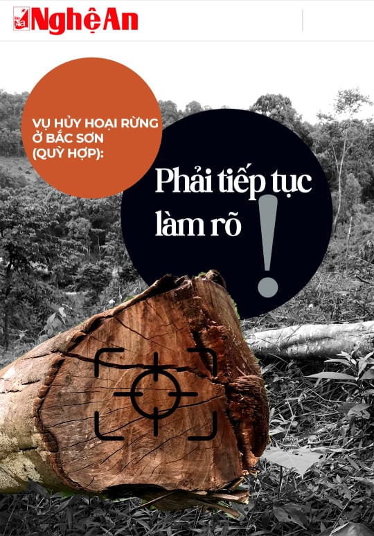 Bài bài viết “Vụ hủy hoại rừng ở Bắc Sơn (Quỳ Hợp): Phải tiếp tục làm rõ” đăng trên Báo Nghệ An điện tử ngày 30/6/2021. Ảnh: Nhật Lân