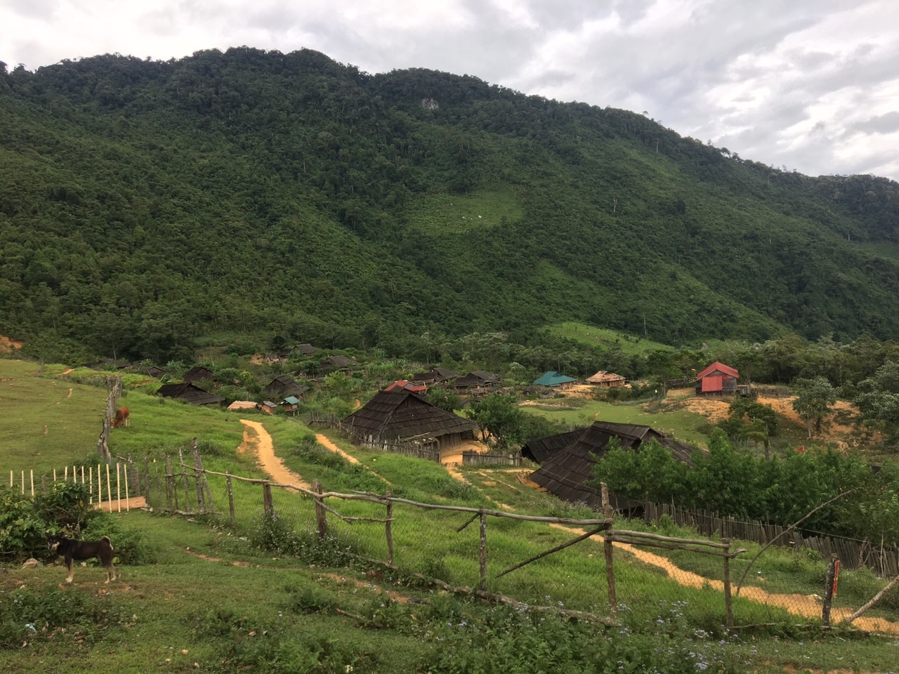 Bản Huổi Măn, xã Nhôn Mai chỉ có 16 hộ người Mông sinh sống. Ảnh: CTV