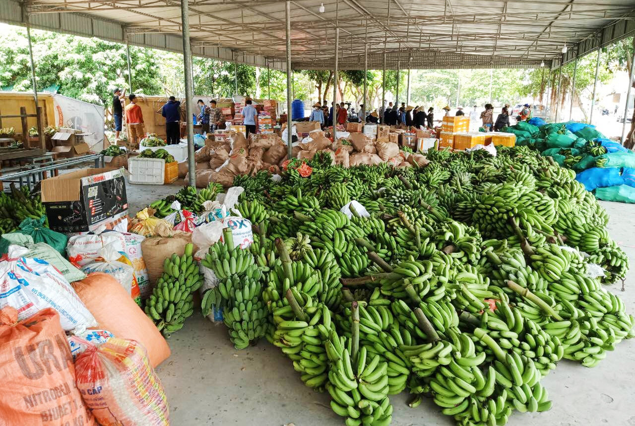 Hàng hóa người dân Nghệ An quyên góp ủng hộ người dân TP Hồ Chí Minh. Ảnh: PV