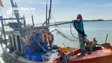 Nghệ An xử phạt 25 triệu đồng 1 tàu cá ngoại tỉnh đánh bắt hải sản kiểu 'tận diệt'