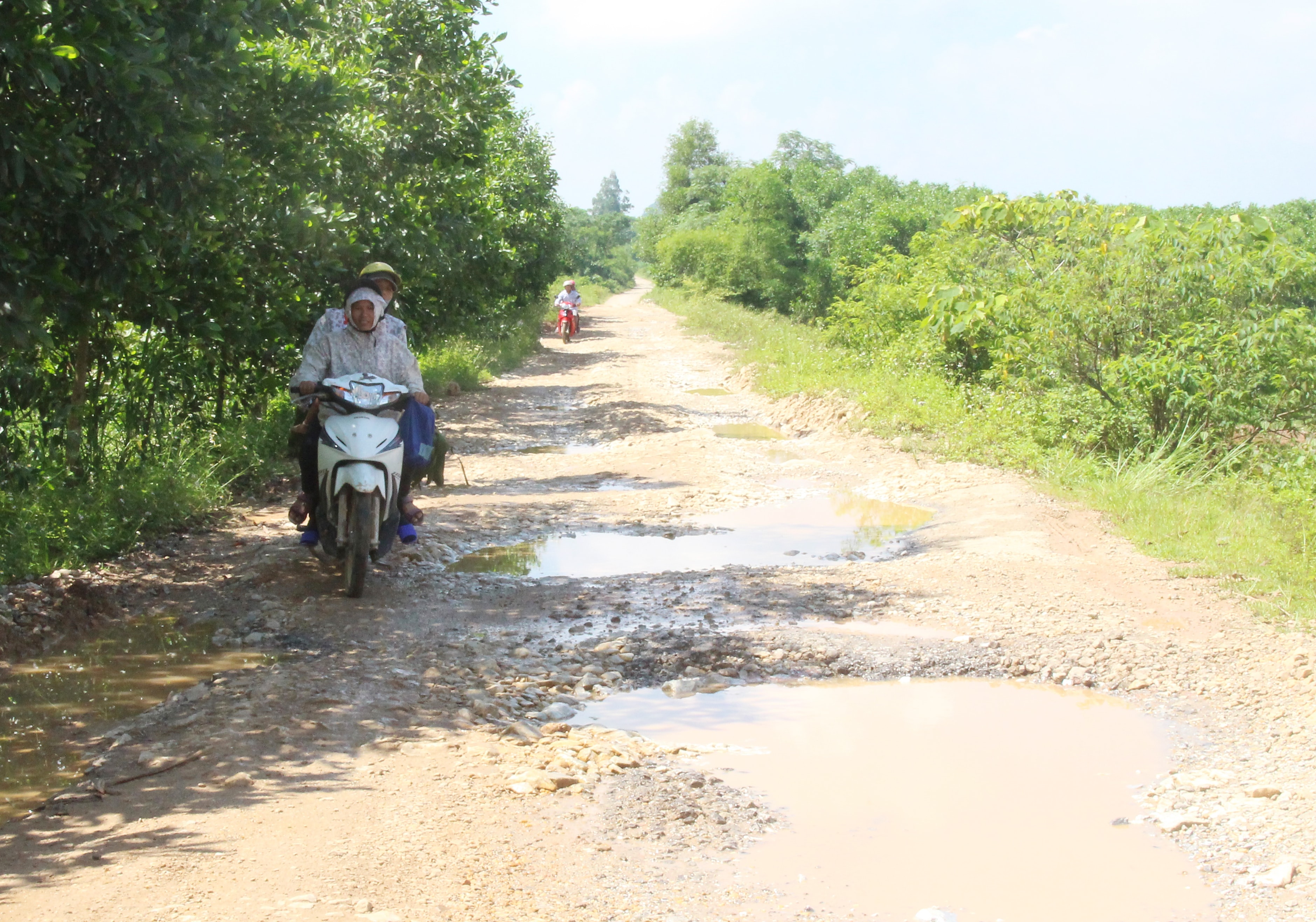 Trên địa bàn tỉnh đang còn một số tuyến đường xuống cấp cần được đầu tư. Ảnh: Mai Hoa