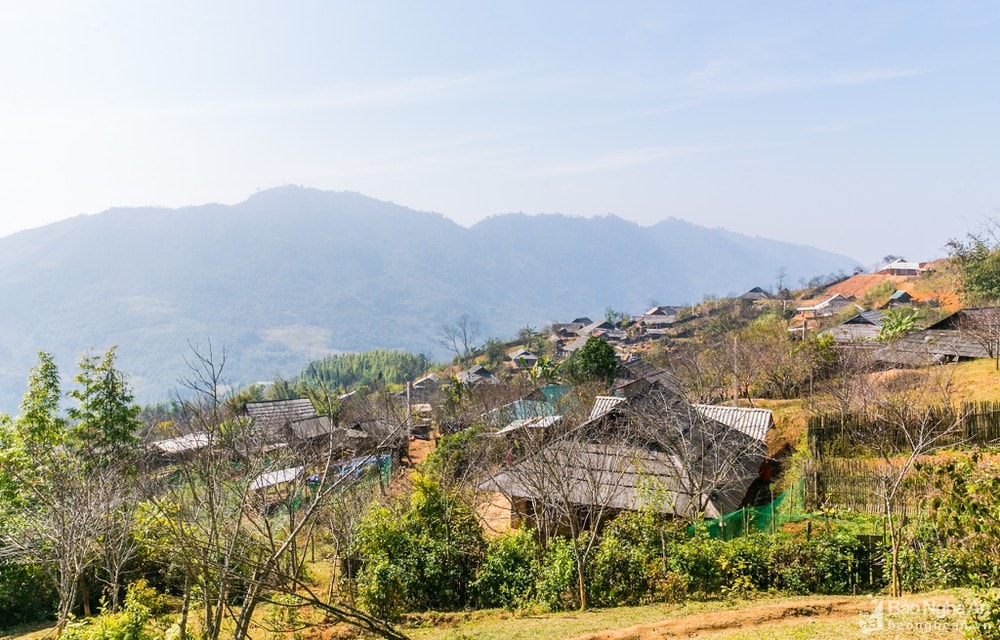 Bản Pà Khốm, là 1 trong 5 bản người Mông thuộc xã Tri Lễ (Quế Phong), nơi đây có độ cao trên 1.000m so với mặt nước biển quanh năm có không khí mát mẻ. Ảnh: Đức Anh