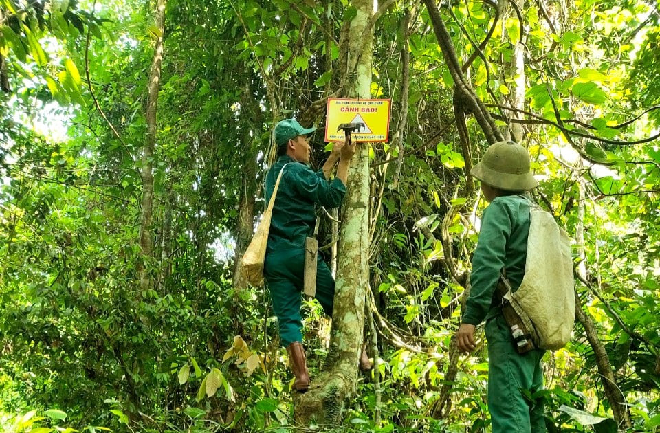 Cán bộ Ban Quản lý rừng phòng hộ Quỳ Châu đóng biển cảnh báo nguy hiểm để người dân trên địa bàn nâng cao cảnh giác trước sự xuất hiện của voi rừng. Ảnh: NPV