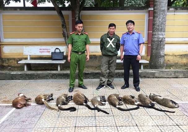 Đối tượng Phạm Đình Dũng (X) cùng số cá thể động vật hoang dã tại cơ quan Công an. Ảnh: Quỳnh Chi