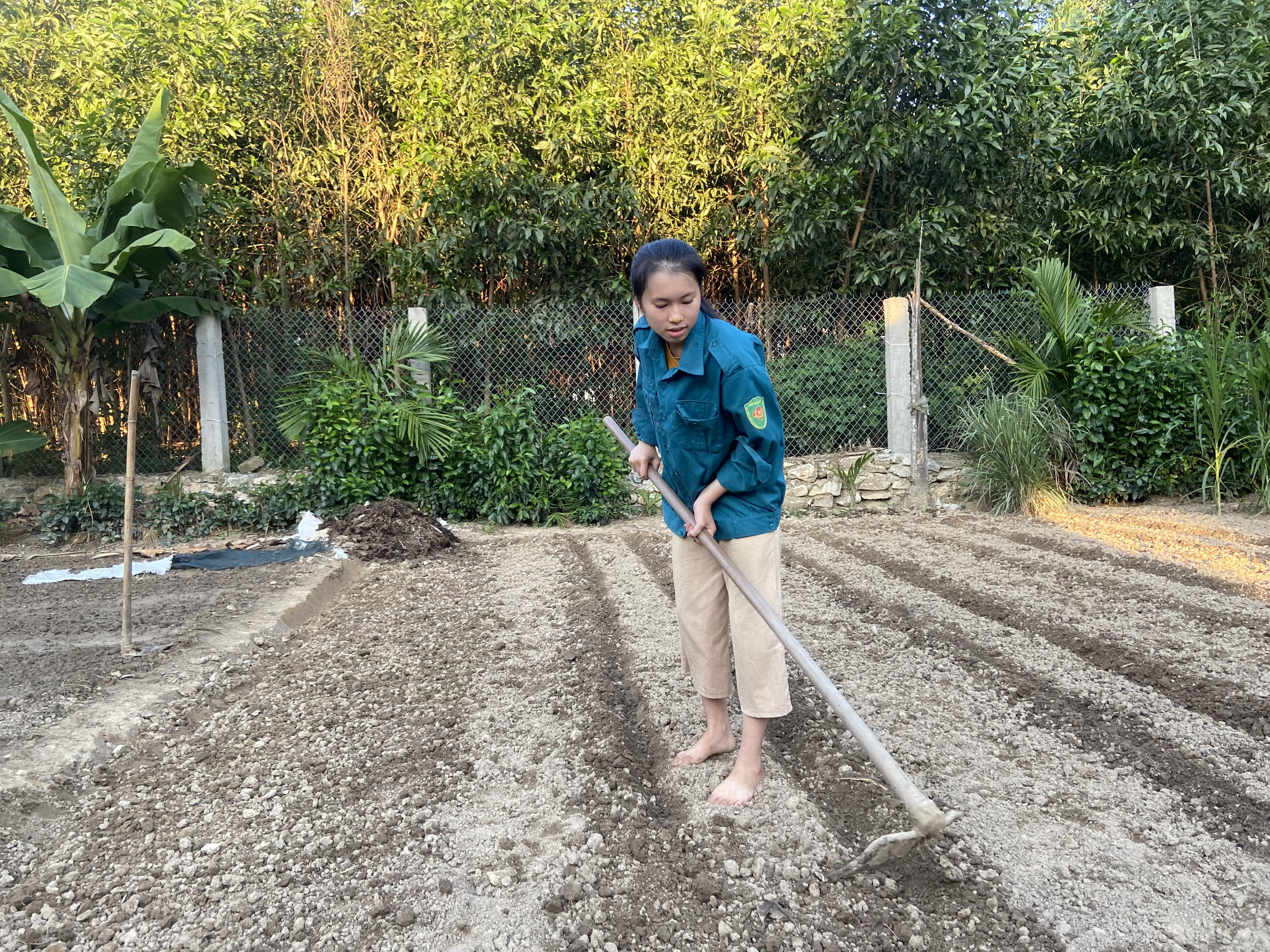 Ngoài giờ học Quỳnh thường xuyên giúp bố mẹ công việc vườn tược. Ảnh: Lương Nga