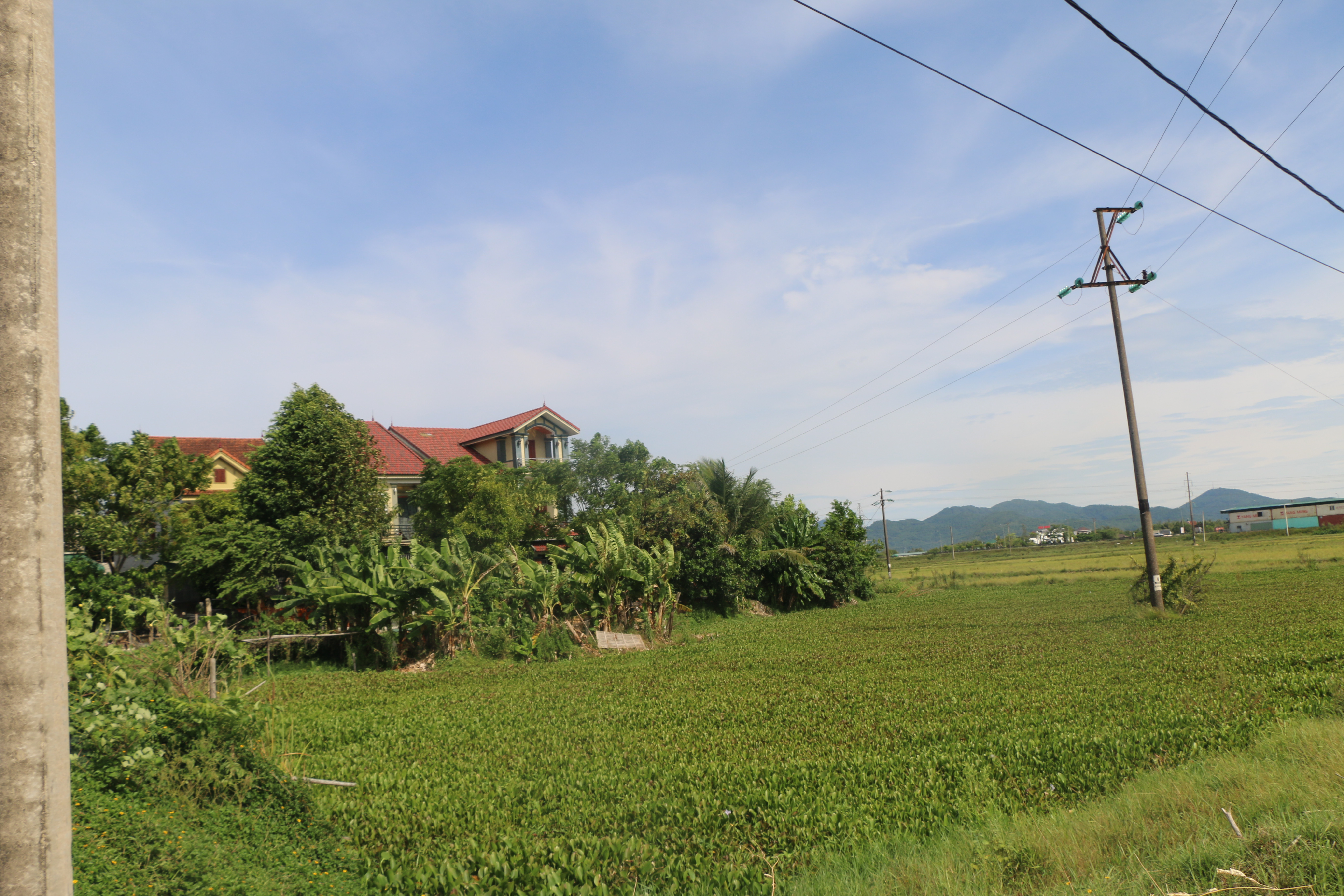 Do không có mương tiêu thoát chung, nước thải sinh hoạt của người dân tái định cư dự án Cầu Đen xả trực tiếp ra ruộng của dân