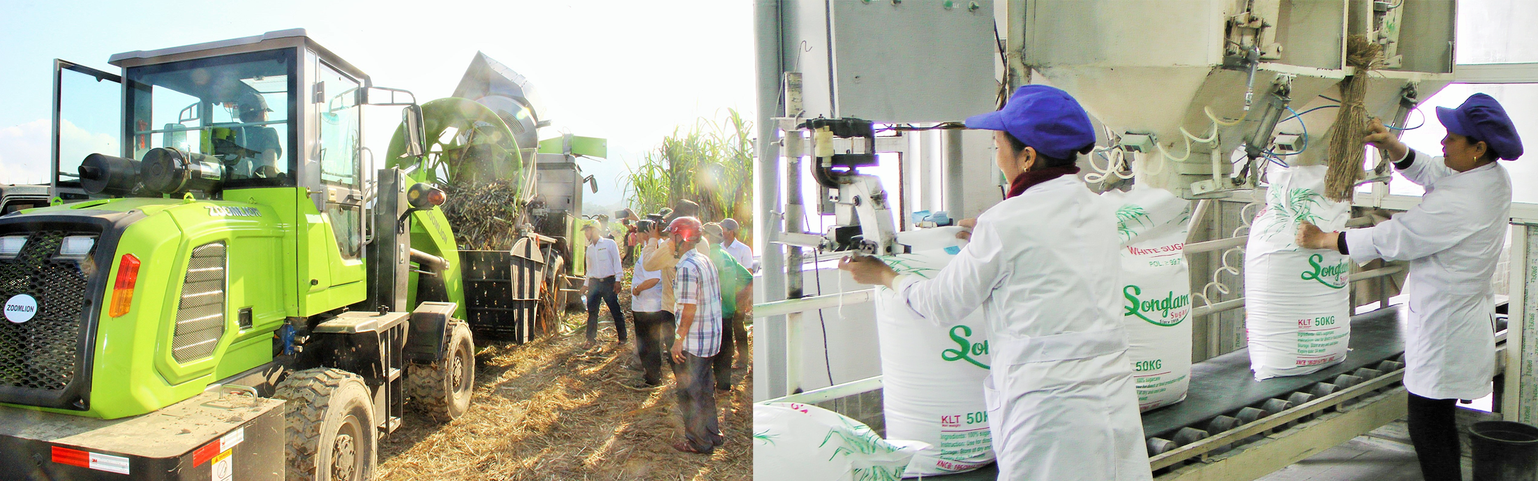 Công ty CP Mía đường Sông Lam áp dụng cơ giới hóa vào thu hoạch mía; Dây chuyền sản xuất đường kính trắng tại công ty.