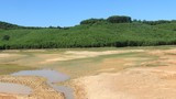 Nghệ An: Nhiều hồ chứa khô cạn, lúa hè thu thiếu nước tưới trầm trọng