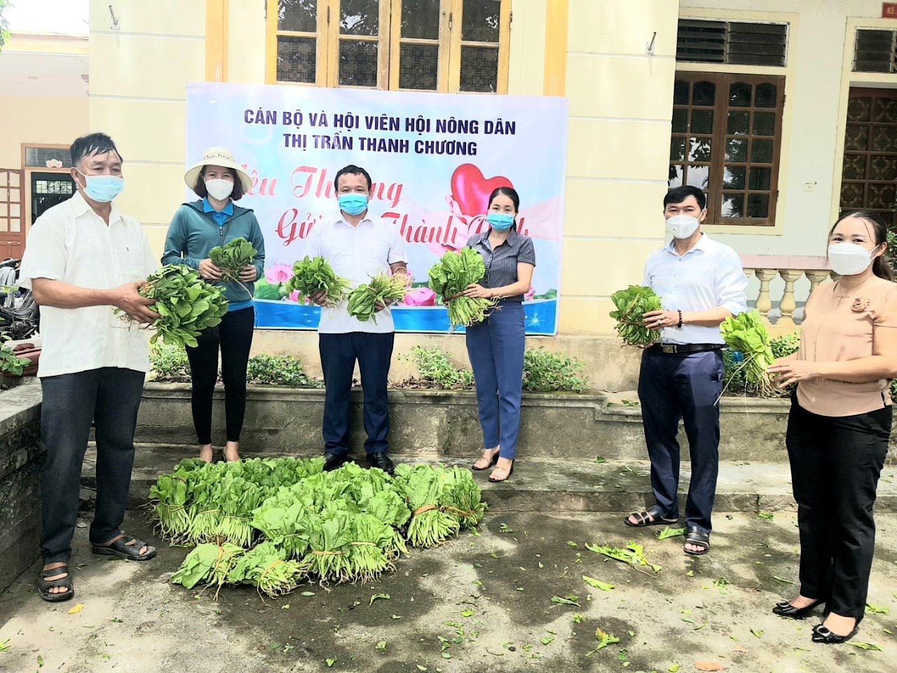 Sau 1 ngày kêu gọi, Hội Nông dân Thanh Chương đã quyên góp được 3 tấn rau xanh các loại. Ảnh: Thanh Phúc