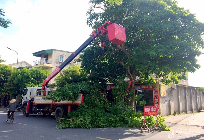 Lực lượng chức năng TP. Vinh cắt tỉa cây xanh trên các tuyến đường. Ảnh tư liệu Quang An