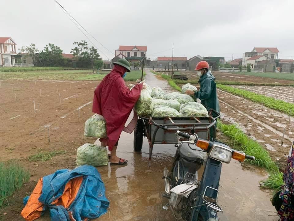  Thương lái thu mua rau màu cho bà con. Ảnh Việt Hùng