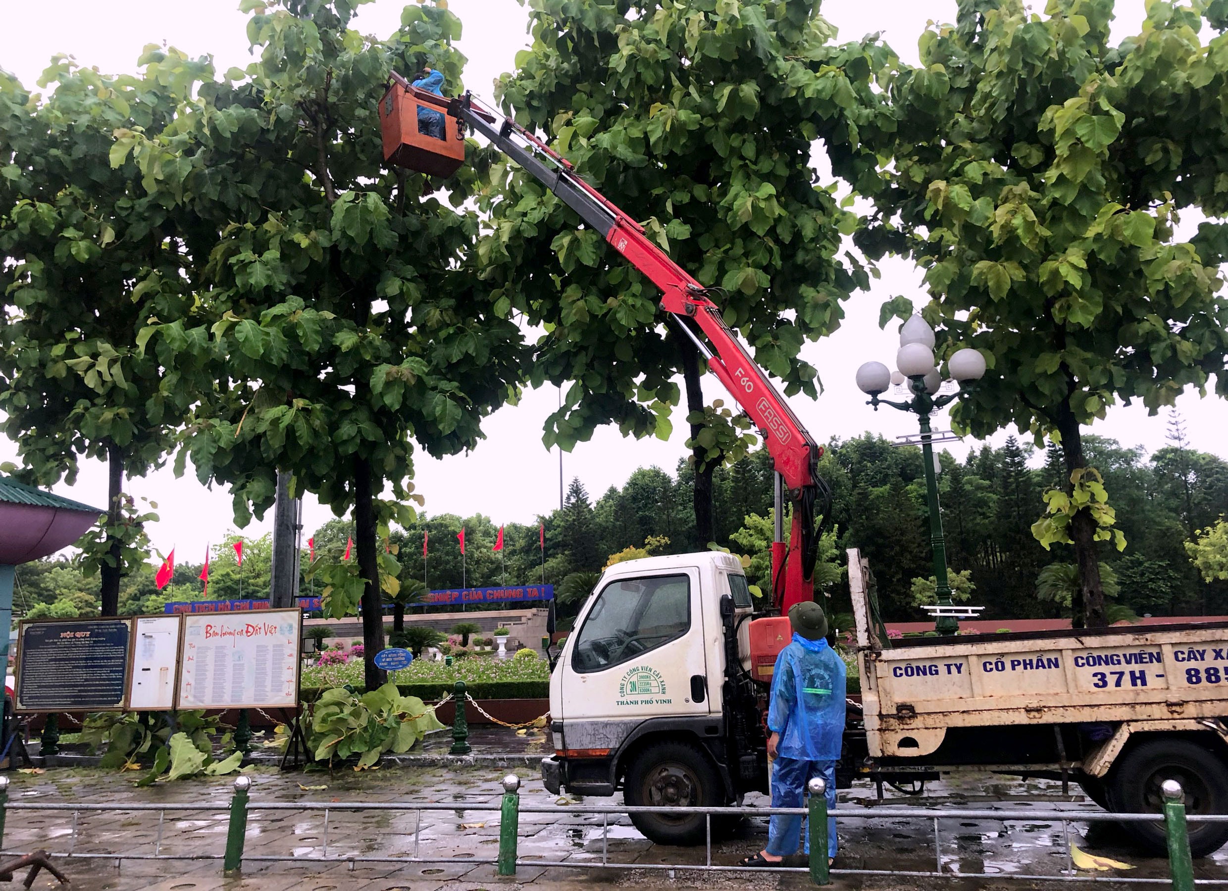 Công nhân cắt tỉa cây xanh trên địa bàn TP.Vinh trước khi bão Conson đổ bộ. Ảnh: Q.A