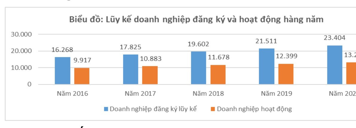 Biểu đồ tỷ lệ doanh nghiệp đăng ký thành lập mới và doanh nghiệp hoạt động hàng năm. Ảnh: N.H