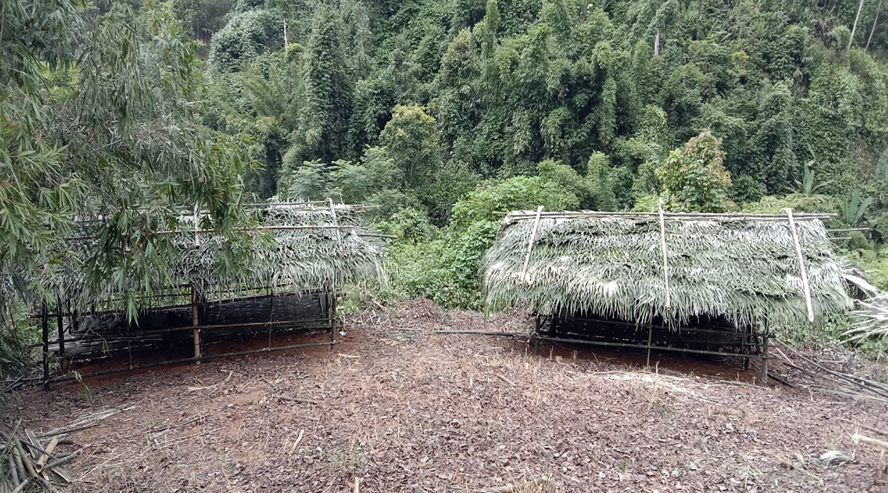 Việc tận dụng nguyên liệu sẵn có tại địa phương để làm khu cách ly, là cách làm hay, sáng tạo trong việc chủ động phòng, chống dịch của xã biên giới Tam Hợp mà các địa phương khác nên áp dụng. Bởi đặc biệt sử dụng nguyên liệu này để dụng lán, làm khu cách ly vừa giảm thiểu được kinh phí, vừa lại thoáng mát.