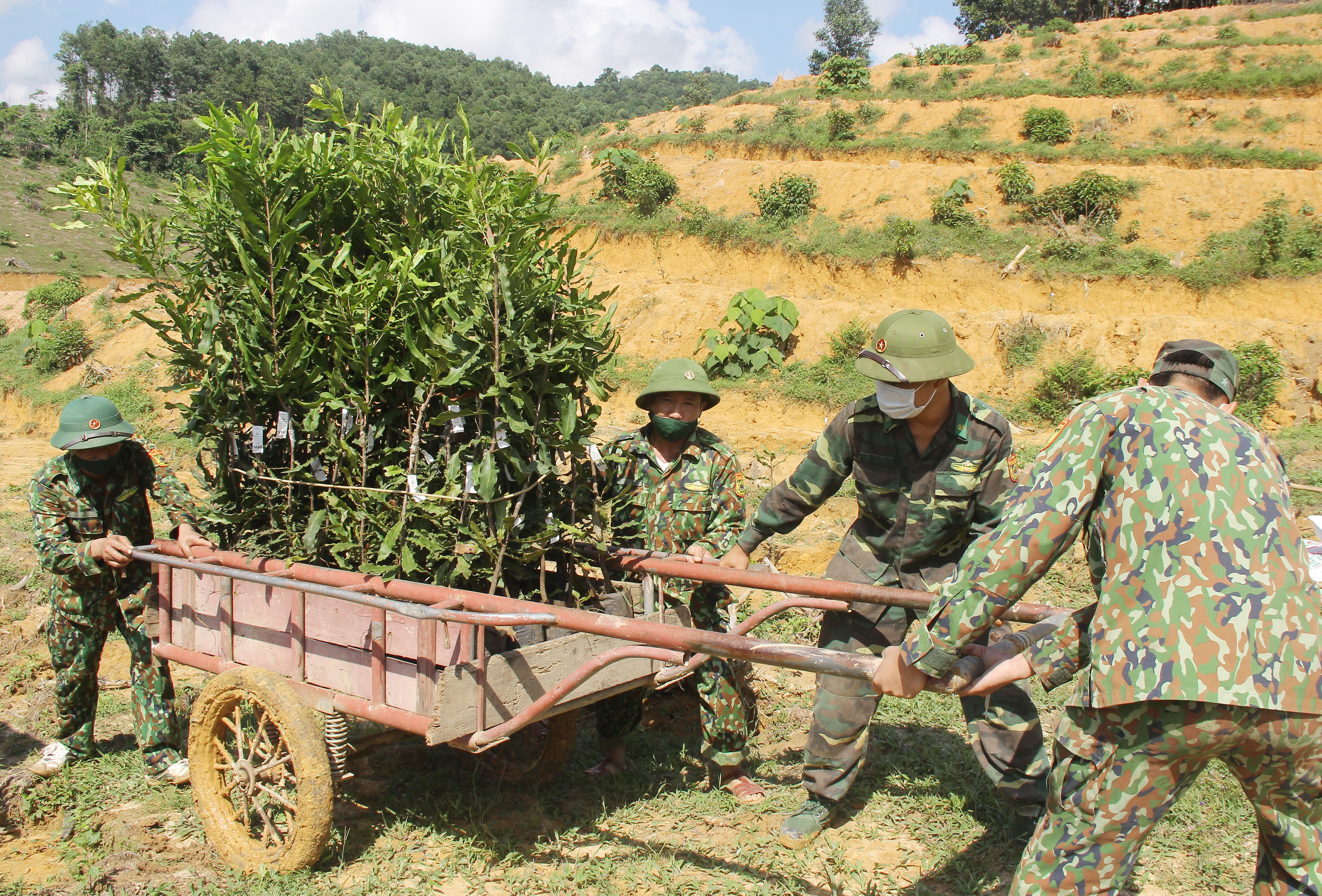 Cán bộ, chiến sỹ Đồn Biên phòng Ngọc Lâm tham gia trồng cây. Ảnh: Mai Hoa