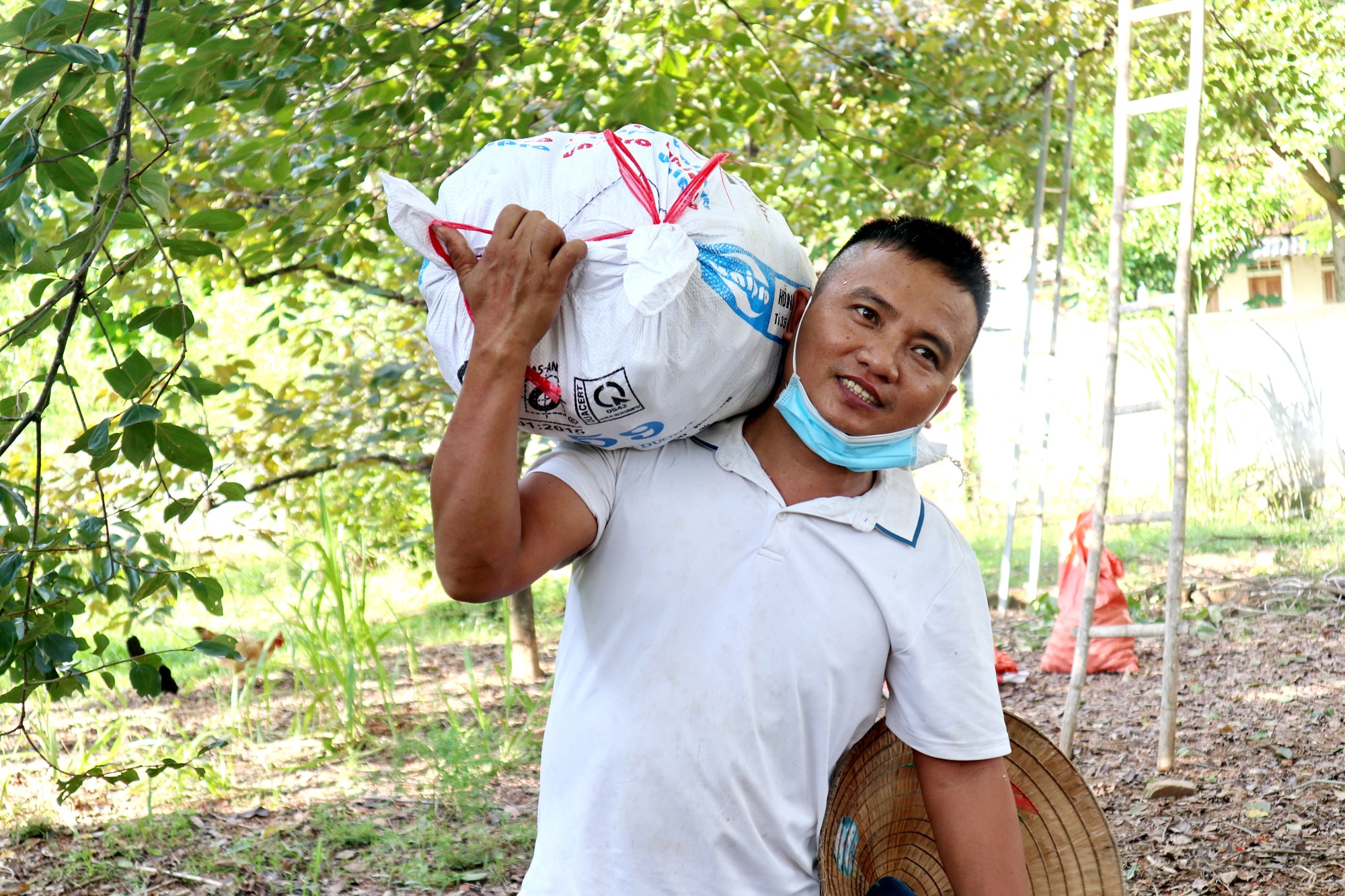 Dù trong thời điểm dịch bệnh nhưng hồng quả của người dân Nam Anh vẫn được thương lái đến thu mua tận vườn. Ảnh: Thanh Phúc