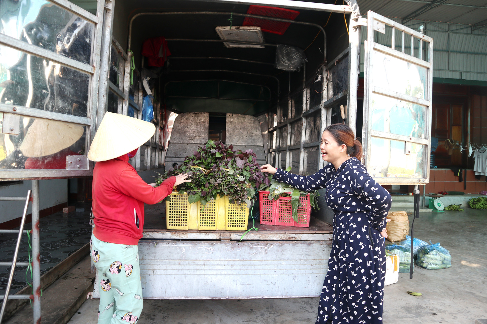 Trung bình mỗi ngày, thương lái Trần Thị Hường thu mua 2 tấn rau gia vị các loại xuất bán đi các tỉnh: Hà Tĩnh, Quảng Bình, Thanh Hóa và Hà Nội. Ảnh: Thanh Phúc