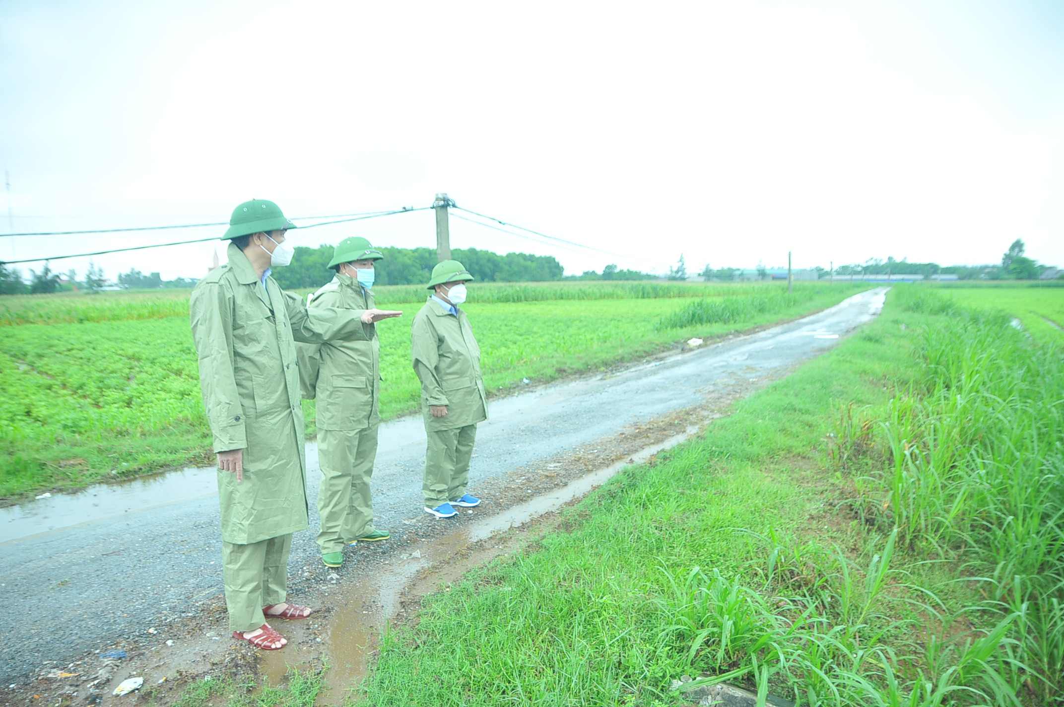 Phó Chủ tịch UBND tỉnh Hoàng Nghĩa Hiếu kiểm tra một số diện tích cây vụ đông tại xã Diễn Thịnh (Diễn Châu). Ảnh: Tiến Đông