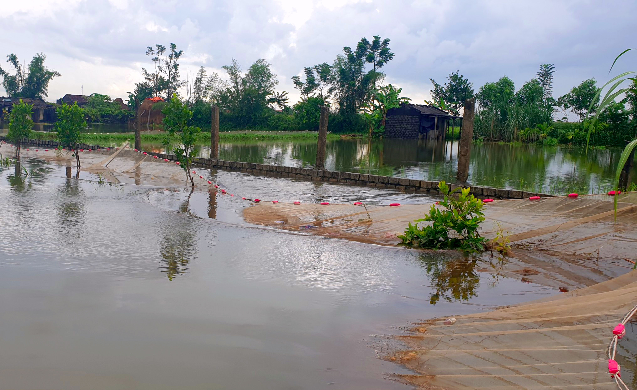 Nhiều ao hồ tại xã Diễn Yên, huyện Diễn Châu bị san phẳng. Ảnh: Quang An