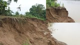 Nghệ An: Sau mưa bão, nhiều bờ sông sạt lở nghiêm trọng