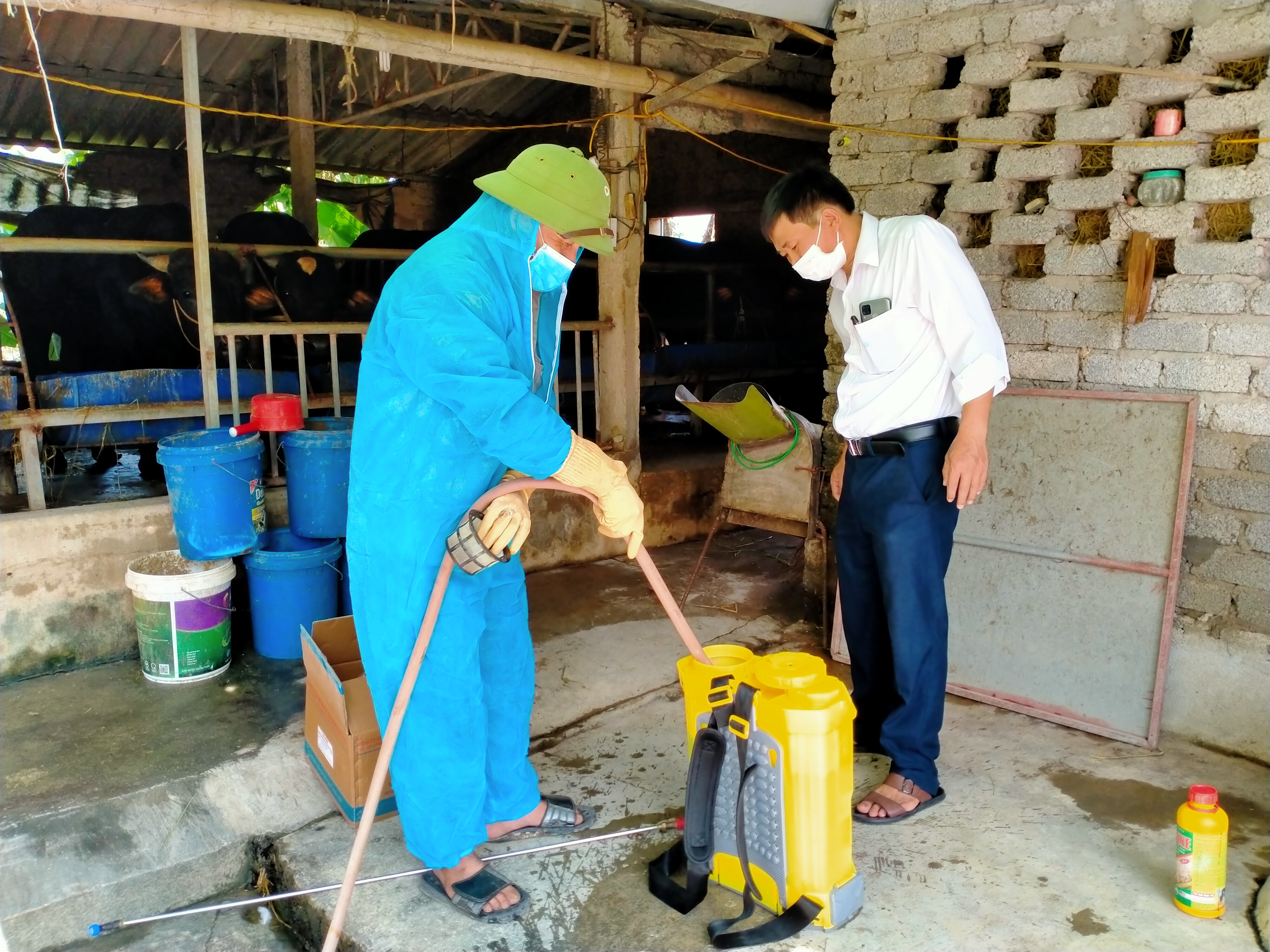 Người chăn nuôi trên địa bàn huyện tiến hành phun tiêu độc khử trùng ngay sau khi nước rút