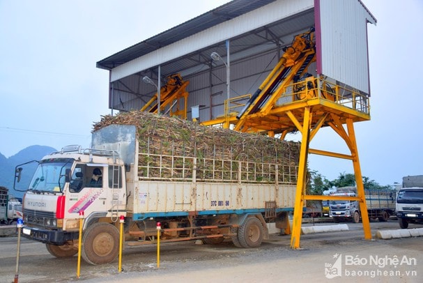 Sản xuất tại Công ty cổ phần Mía đường Sông Con. Ảnh tư liệu