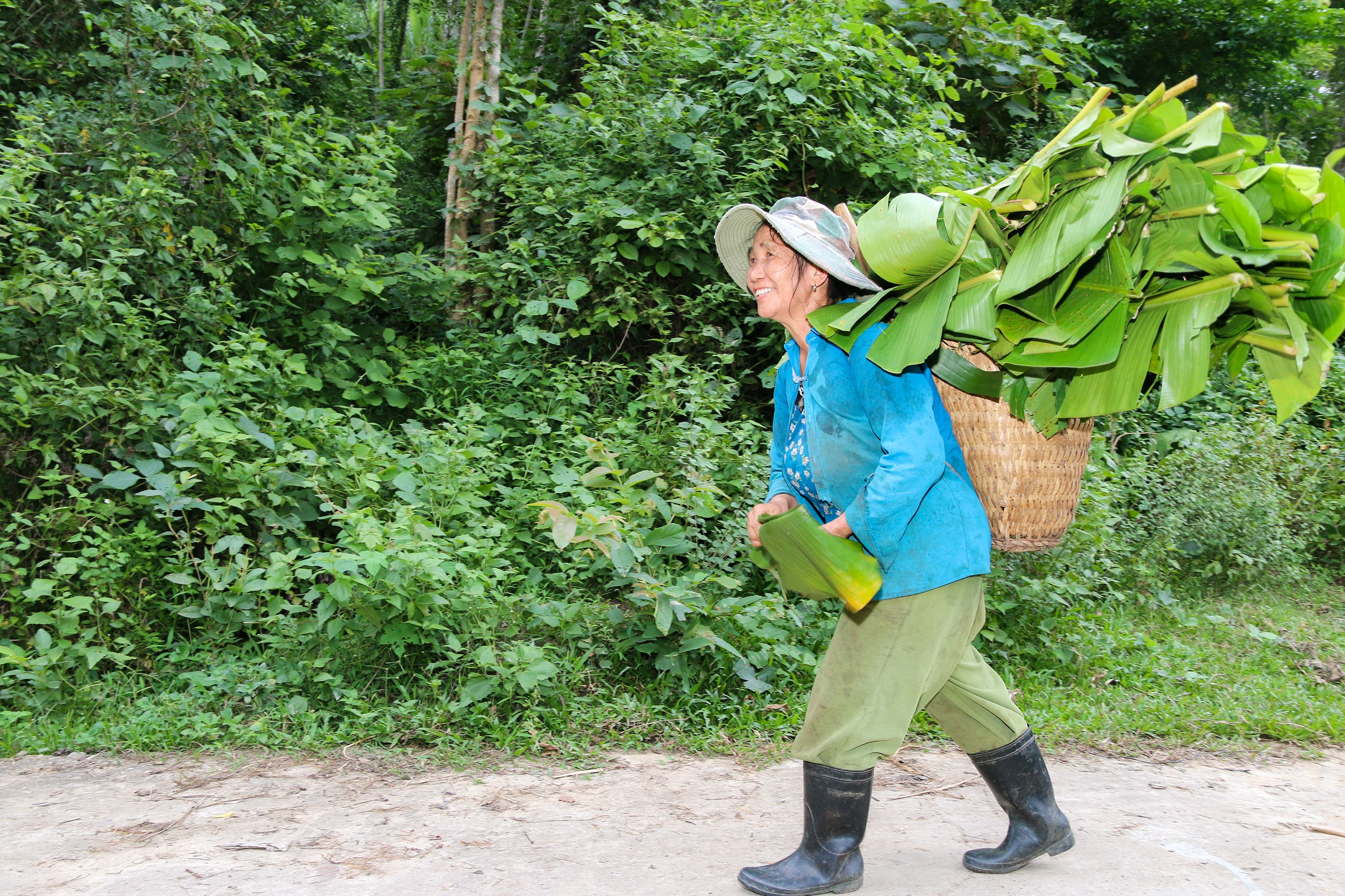 Hiện nay không chỉ đồng bào Thái, mà đồng bào Mông cũng trồng và khoanh nuôi bảo vệ cây chuối rất nhiều. Trong ảnh phụ nữ người Mông gùi lá chuối về làm thức ăn cho cá. Ảnh: Đình Tuân