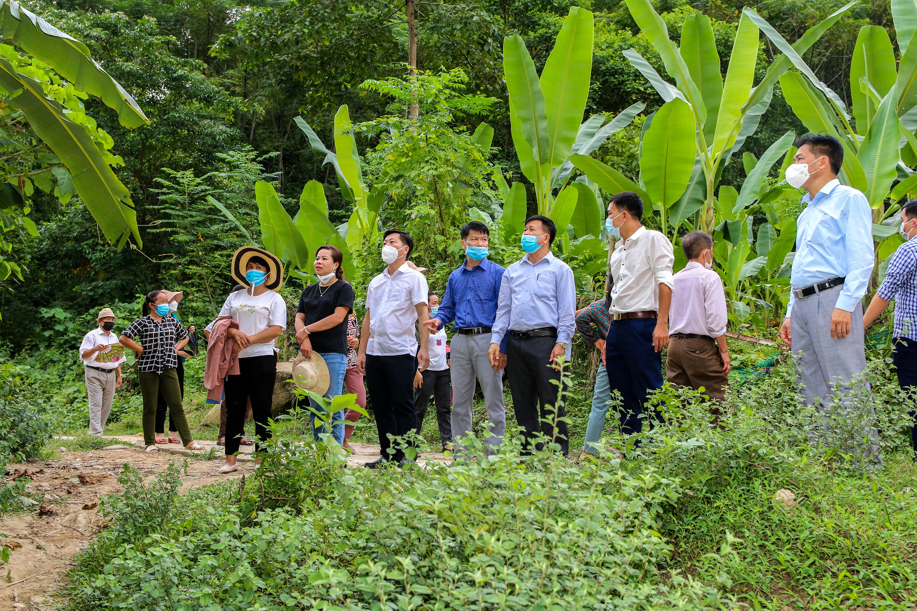 một số xã trong huyện Tương Dương đã đến tham quan và học tập mô hình trồng chuối rừng lấy lá của bà con nông dân xã Lưu Kiền để về áp dụng tại địa phương mình. Ảnh: Đình Tuân