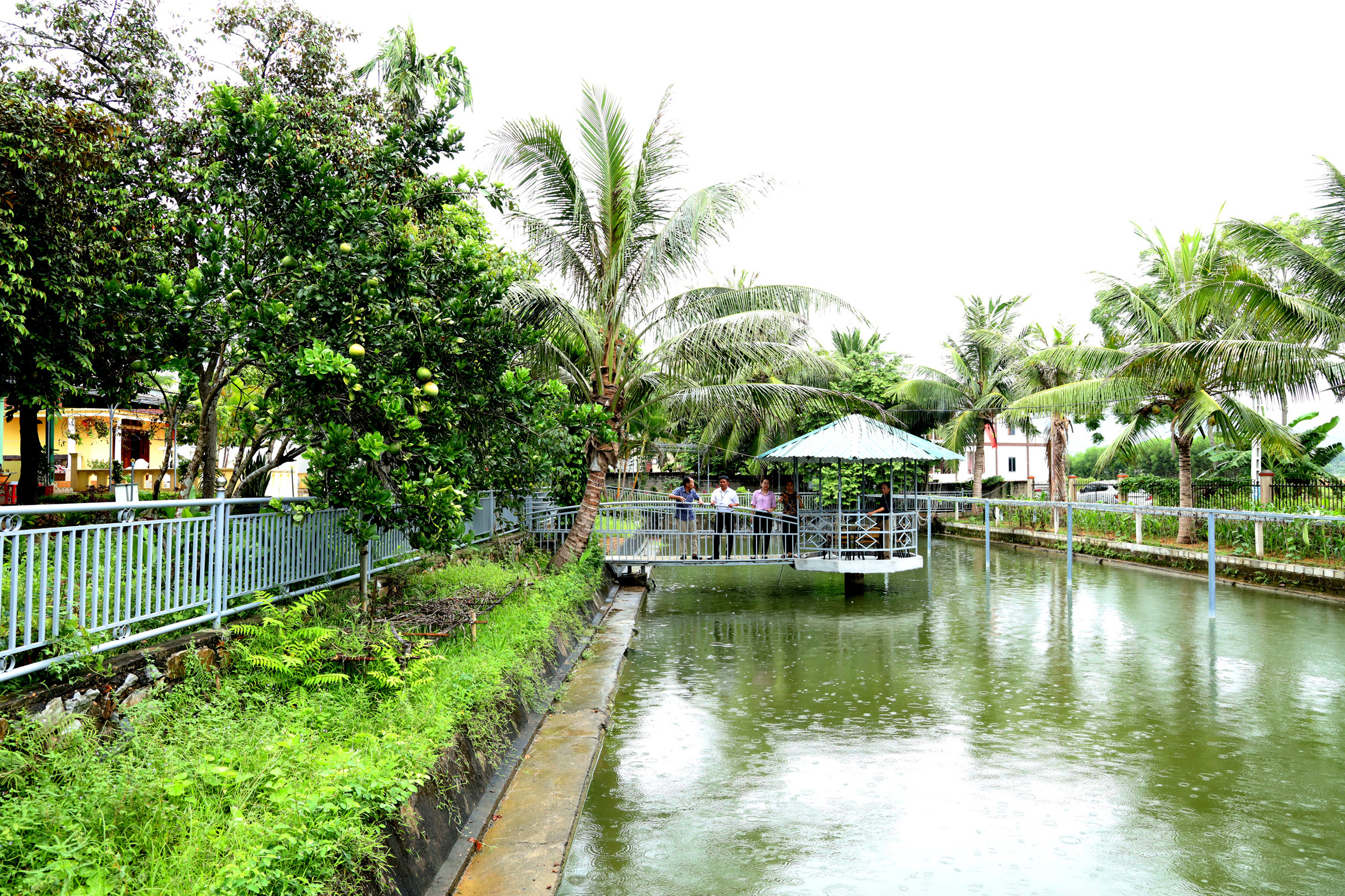 Một góc vườn gia đình chị Bùi Thị Hà ở xóm Thọ Đông, xã Nghĩa Lộc được ví như một công viên sinh thái.