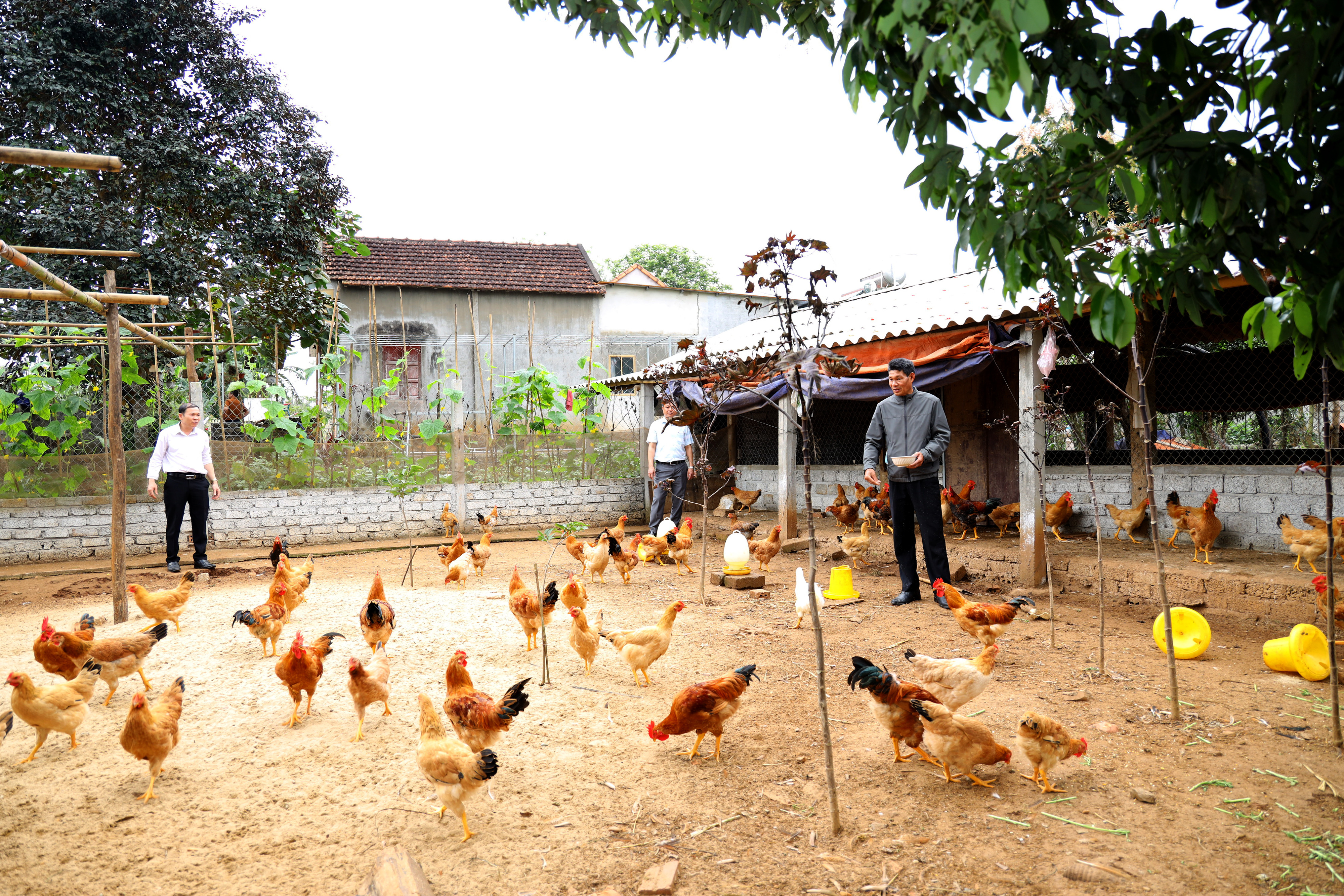 Khu chăn nuôi trong vườn mẫu gia đình ông Lê Trọng Mừng- Nghĩa Lợi- Nghĩa Đàn.