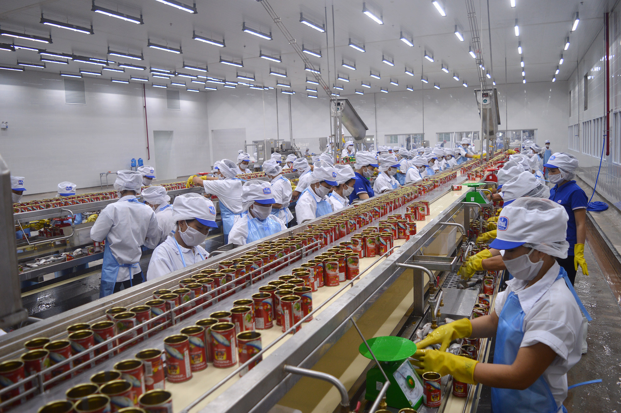 Dây chuyển sản xuất cá hộp hiện đại tại nhà máy Royal Foods (KCN Nam Cấm). Ảnh: Lâm Tùng