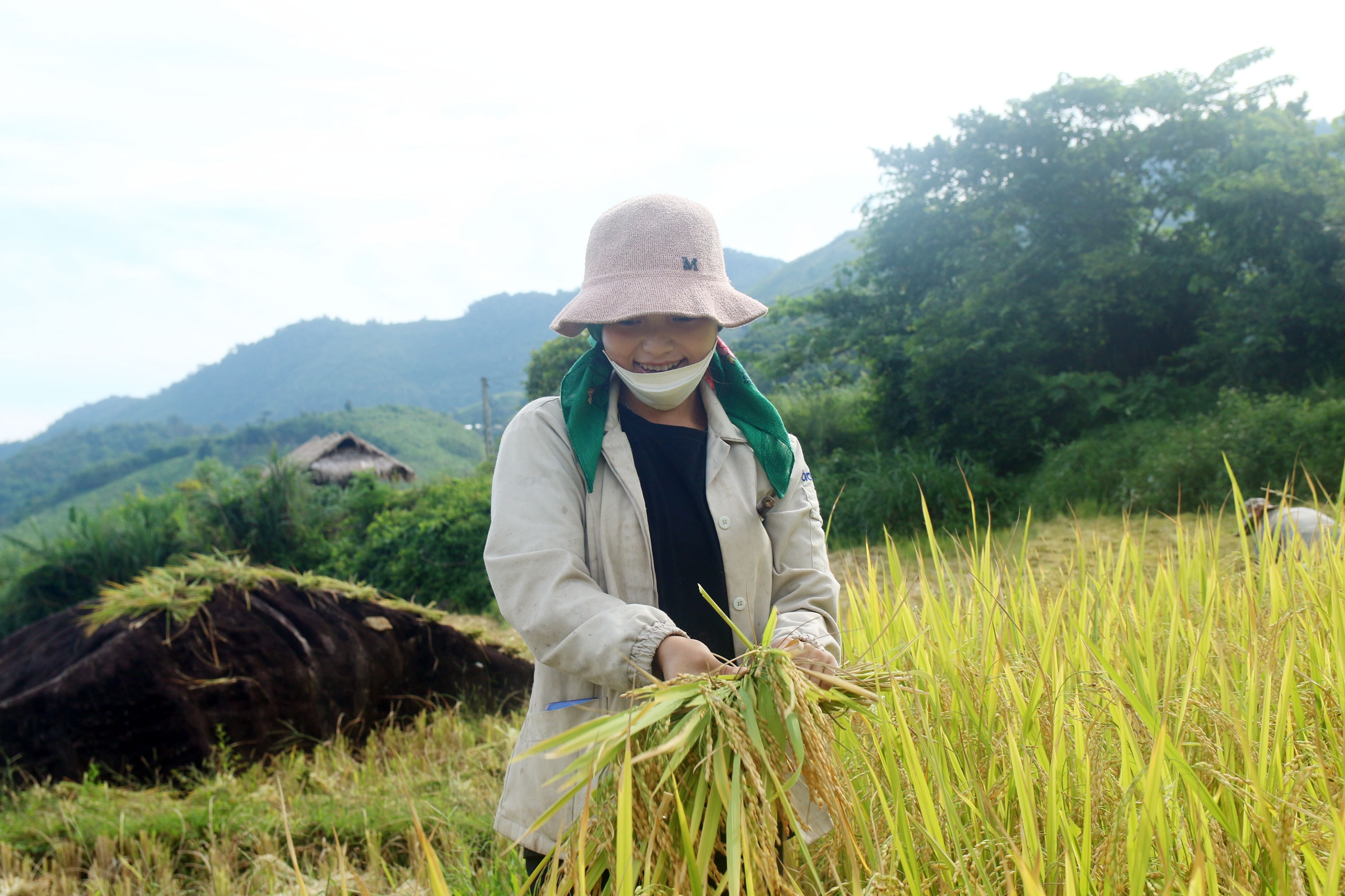Ông Xồng Nhìa Hờ, một người dân ở bản Xiềng Xí (Na Ngoi) cho hay: Trước đây làm lúa trên nương rẫy chỉ được mấy mùa đầu, sau đất bạc màu nên năng suất rất thấp. Từ khi khai hoang được 0,7 héc ta ruộng nước, 5 khẩu trong gia đình ông không phải lo thiếu đói nữa. Ảnh: Đào Thọ