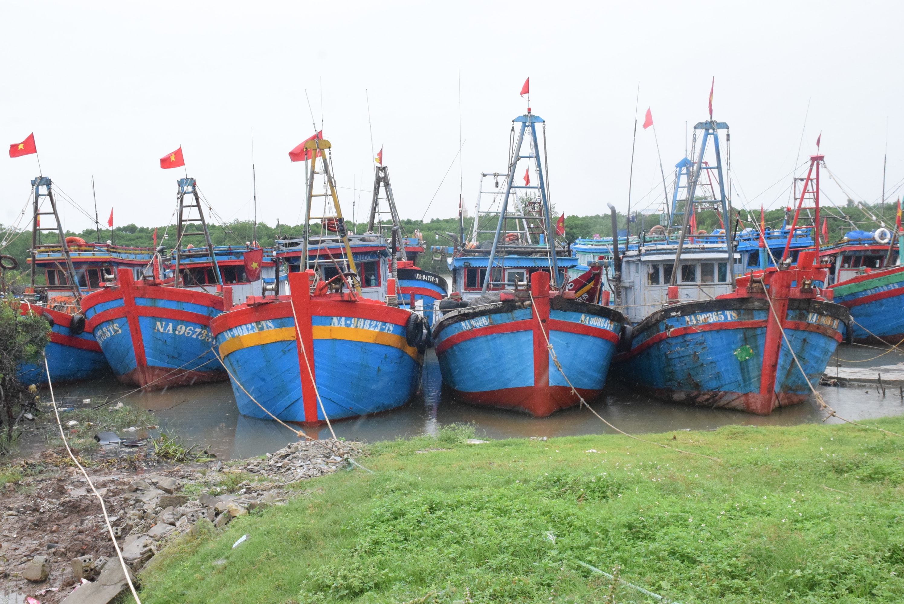 Tàu cá về tránh trũ bão. Ảnh: Xuân Hoàng