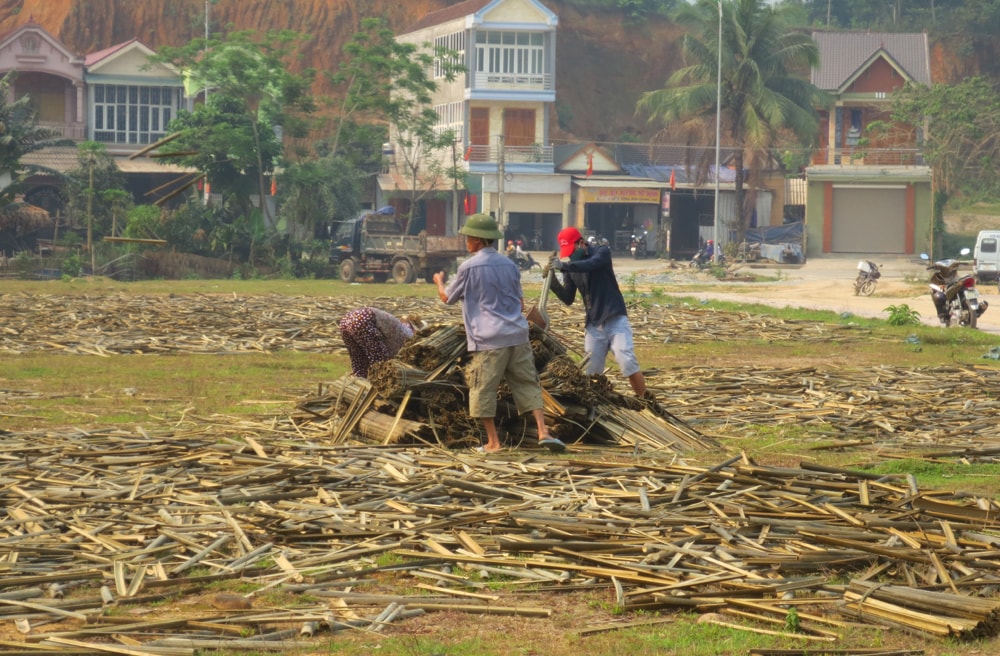 Để làng nghề tiểu thủ công phát triển được cần có nghệ nhân và gắn với thế mạnh về nguồn nguyên liệu. Trong ảnh xử lý, phơi khô tăm hương để sản xuất hương trầm tại Quỳ Châu. Ảnh: Nguyễn Hải