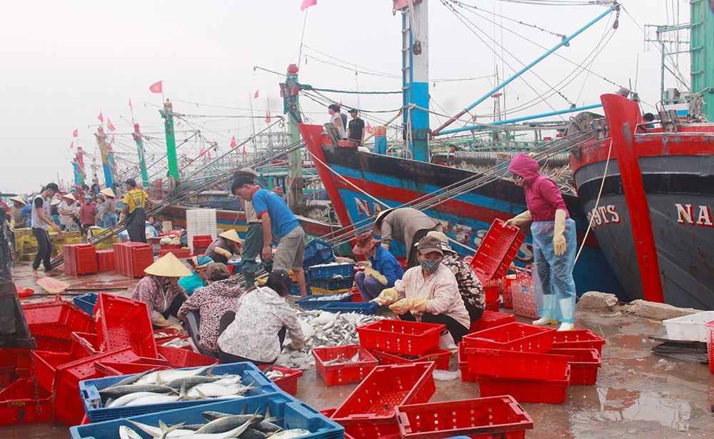 Thời gian qua, khai thác thủy sản là môt trong những ngành kinh tế chịu ảnh hưởng nặng nề do dịch bệnh Covid-19. Ảnh: Phú Hương