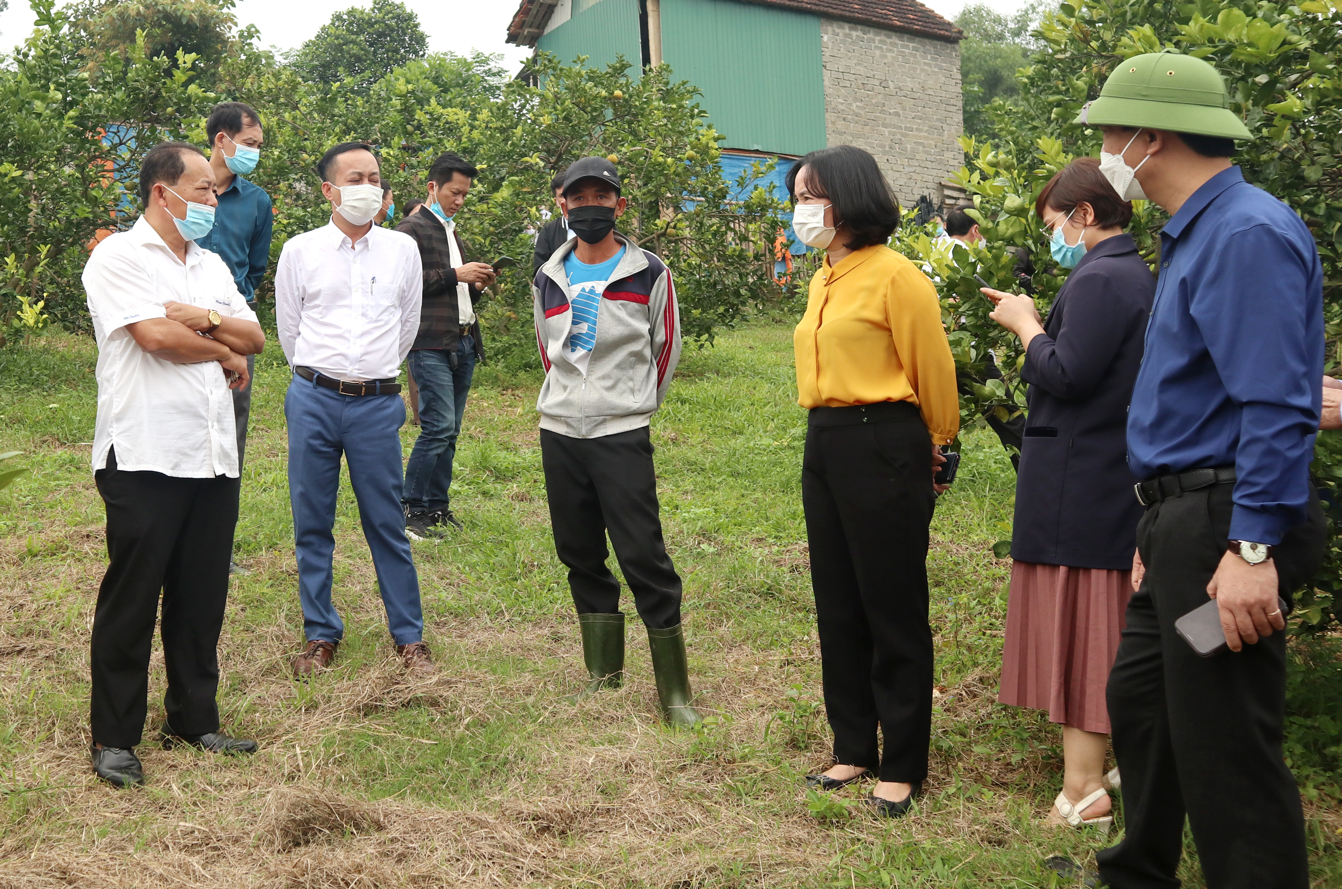 Trước đó, vào buổi sáng cùng ngày, các đại biểu thăm quan mô hình trồng cam sạch hữu cơ ở xã Tân Phú (Tân Kỳ). Ảnh: Thanh Phúc