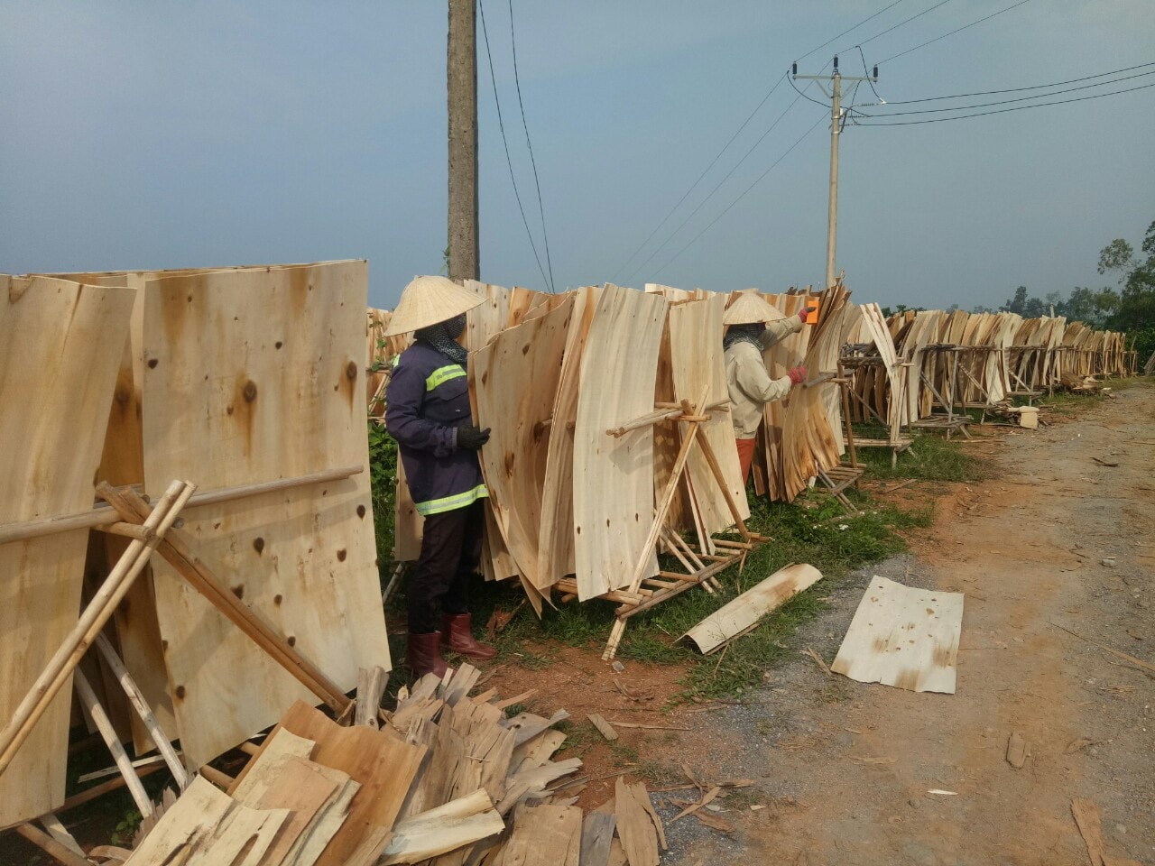 Công nhân thu gom gỗ ván thành phẩm