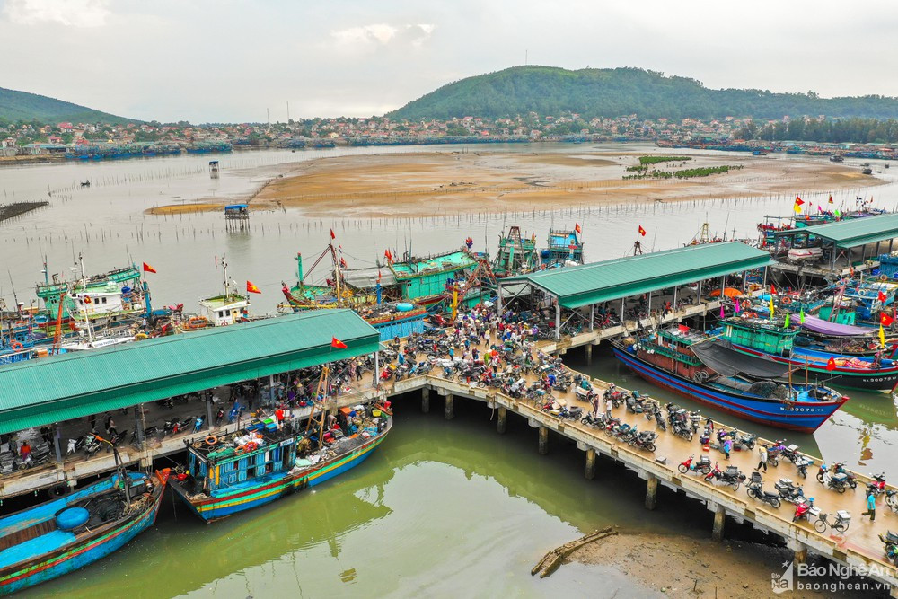 Cảng cá Quỳnh Phương nhộn nhịp khi tàu thuyền về bến. Ảnh tư liệu BNA