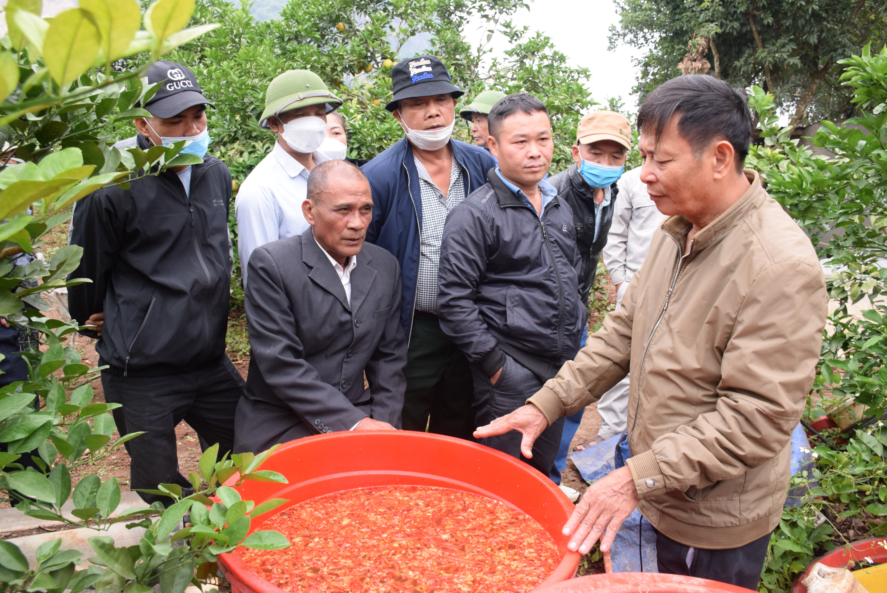 Ông Trương Văn Biên (người ngoài cùng bên trái) giới thiệu cách tự chế thuốc trừ sâu sinh học bằng thảo mộc cho một số nhà làm vườn. Ảnh: Xuân Hoàng