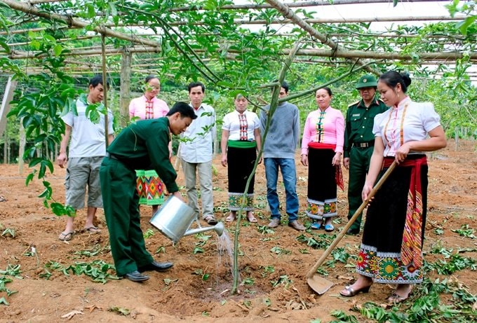 Cán bộ, nhân viên Đoàn Kinh tế - Quốc phòng 4 hướng dẫn nhân dân xã Tri  Lễ, huyện Quế Phong, tỉnh Nghệ An kỹ thuật chăm sóc cây chanh leo. Ảnh Huy Cường