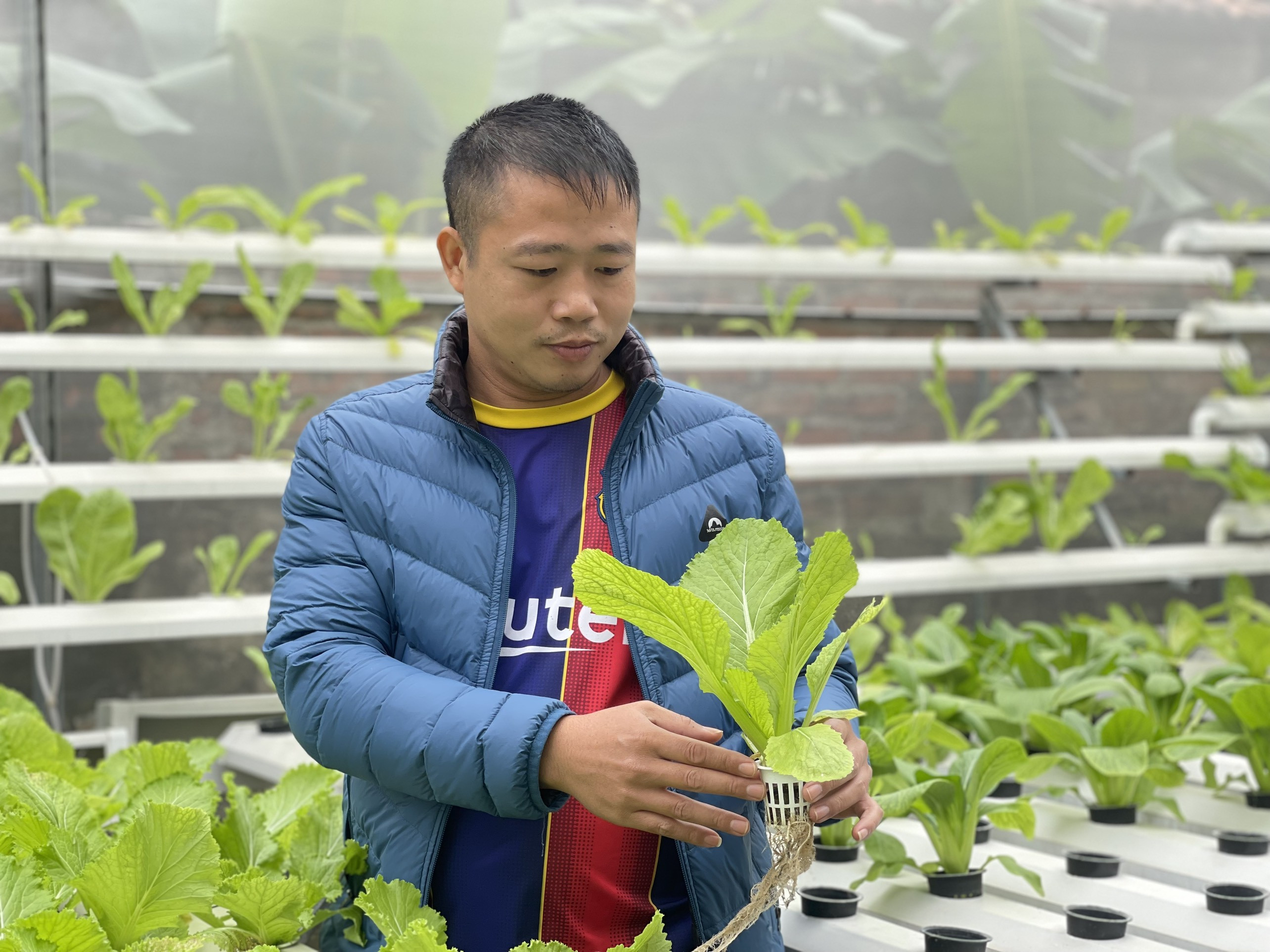Anh Hồ Sỹ Vương được xem là người tiên phong đưa mô hình trồng rau thủy canh về Quỳnh Lưu. Ảnh: Thanh Phúc