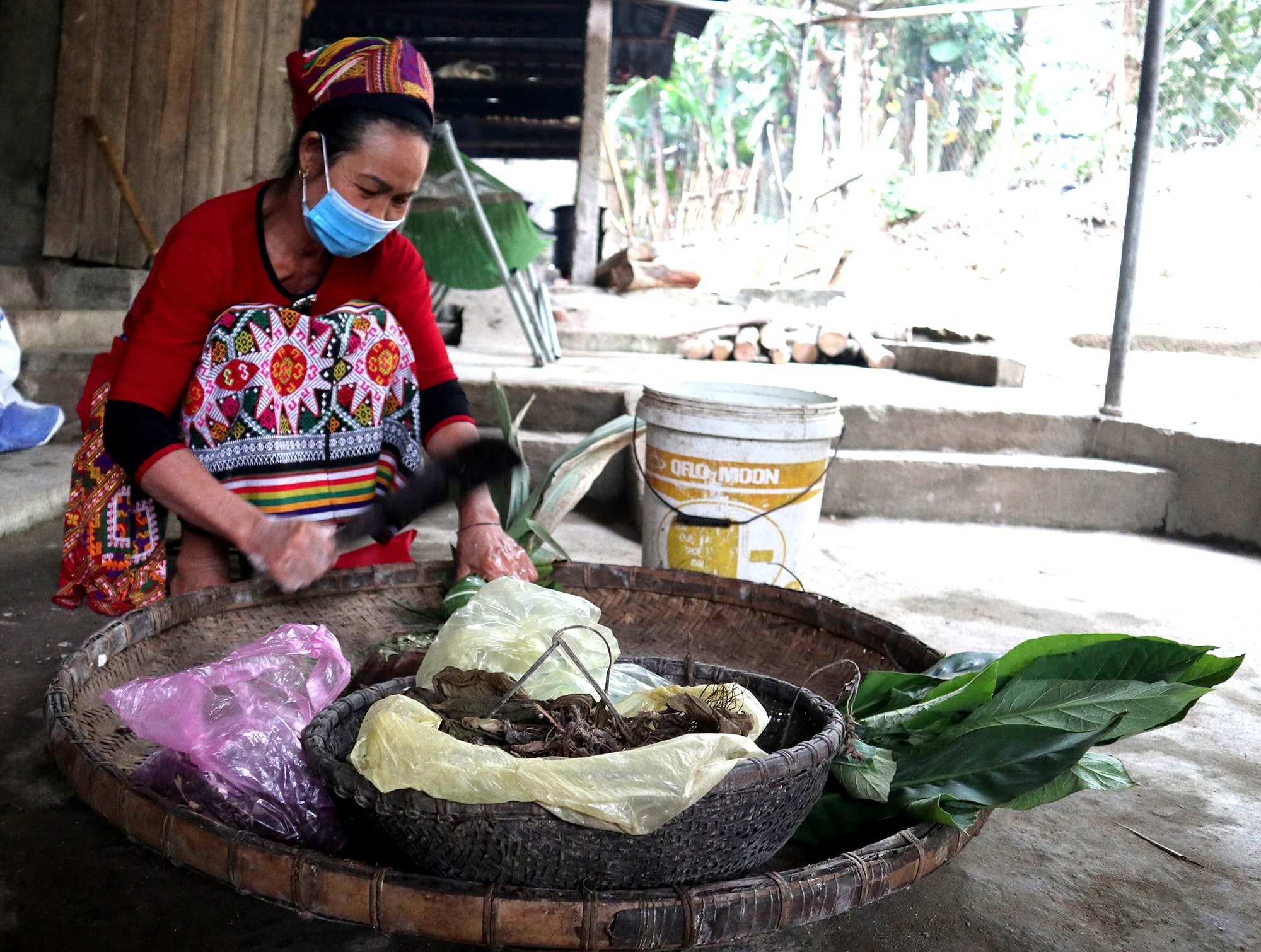 Để có gia vị làm men lá, người dân bản Xiềng phải trèo đèo, lội suối tìm các loại lá rừng. Ảnh: Thanh Phúc