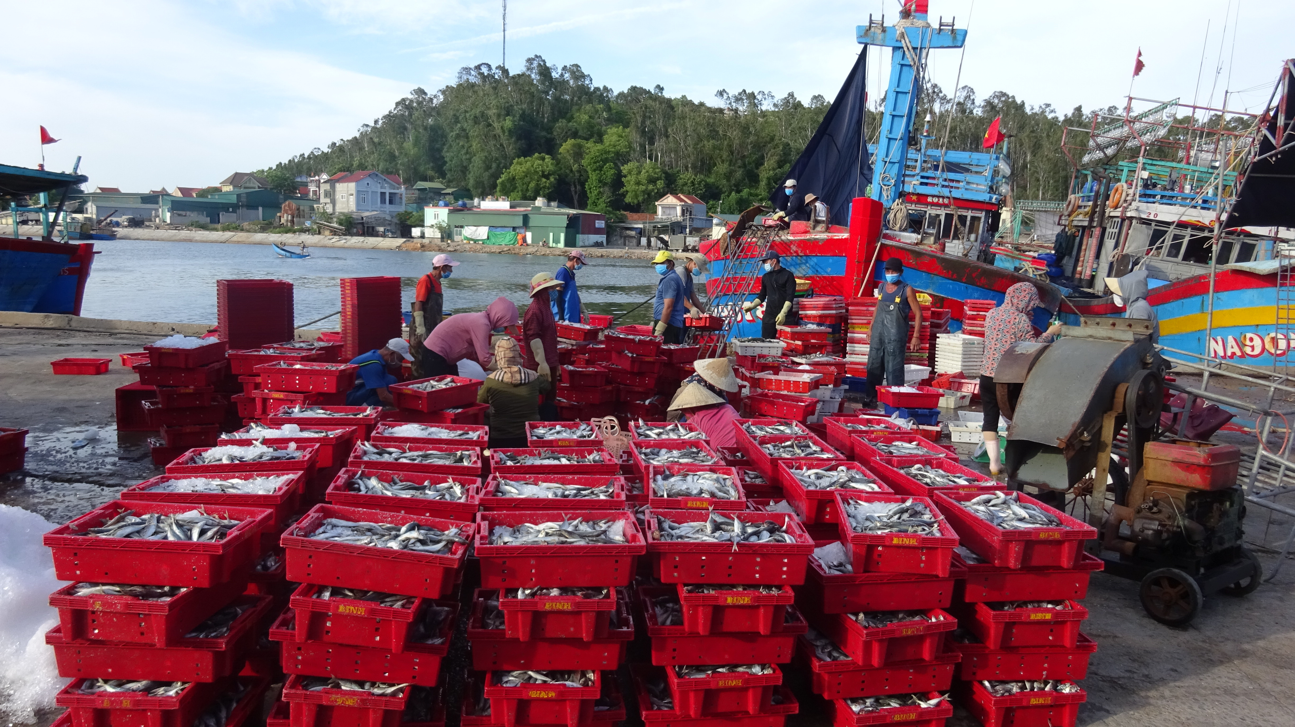 Trong 11 tháng năm 2021, toàn huyện đã khai thác được gần 63.000 tấn hải sản. Ảnh: Hồng Diện