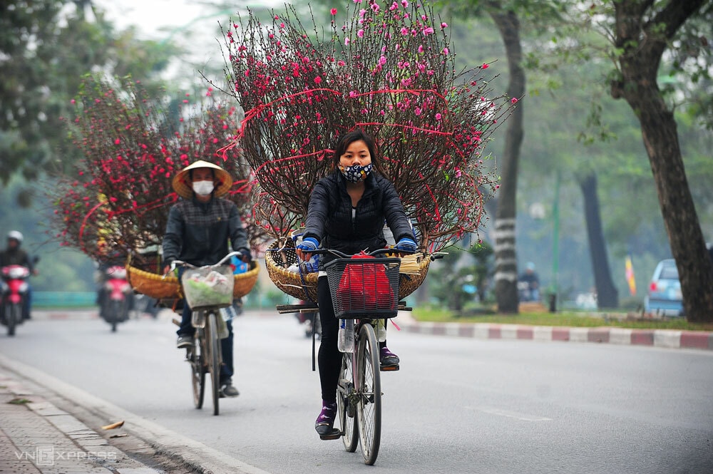 Hoa đào theo những xe hàng rong xuống phố Hà Nội, cận Tết Tân Sửu. Ảnh: Giang Huy