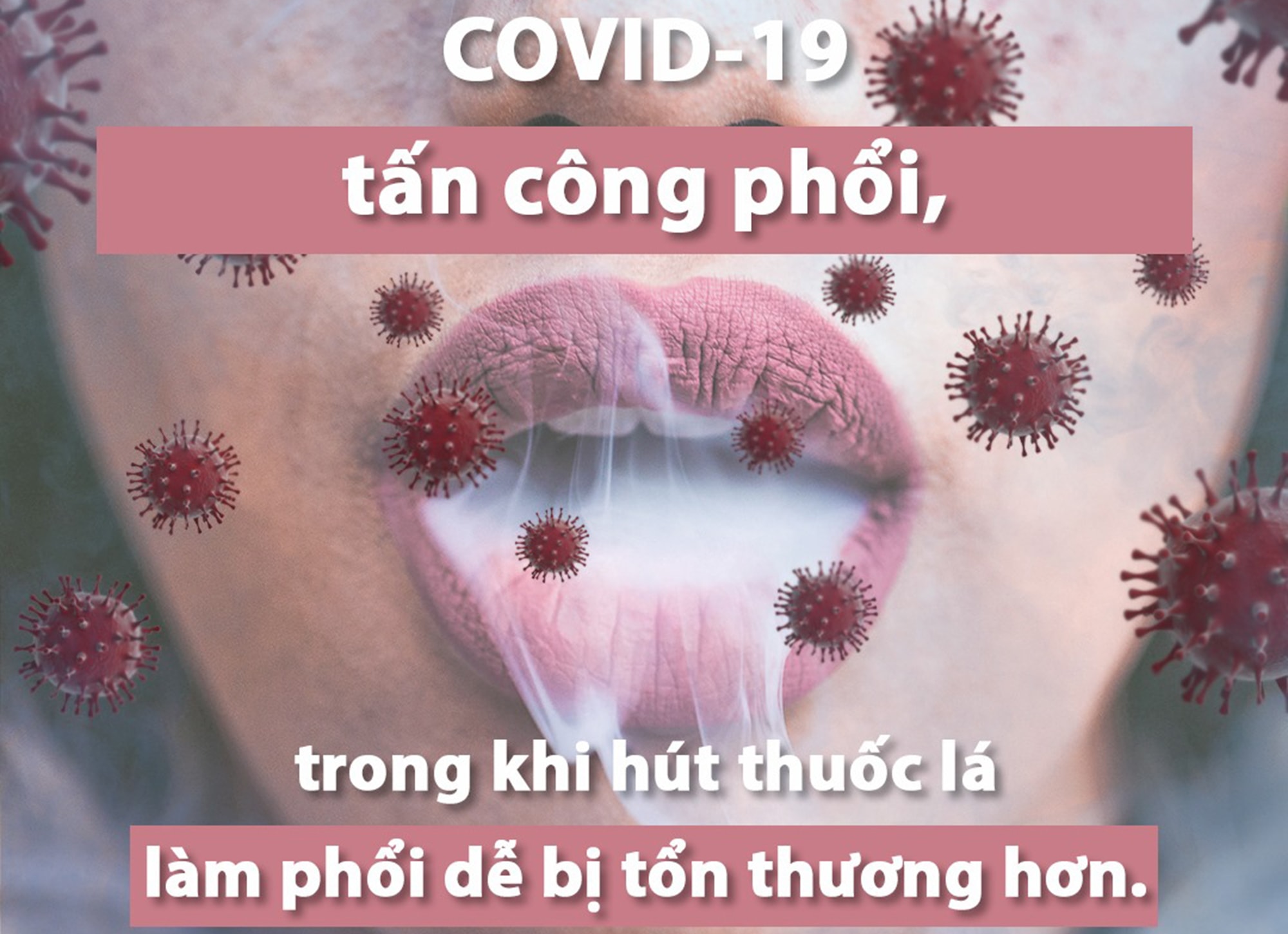 Hút thuốc lá khiến phổi dễ bị Covid-19 tấn công hơn. Ảnh Minh họa